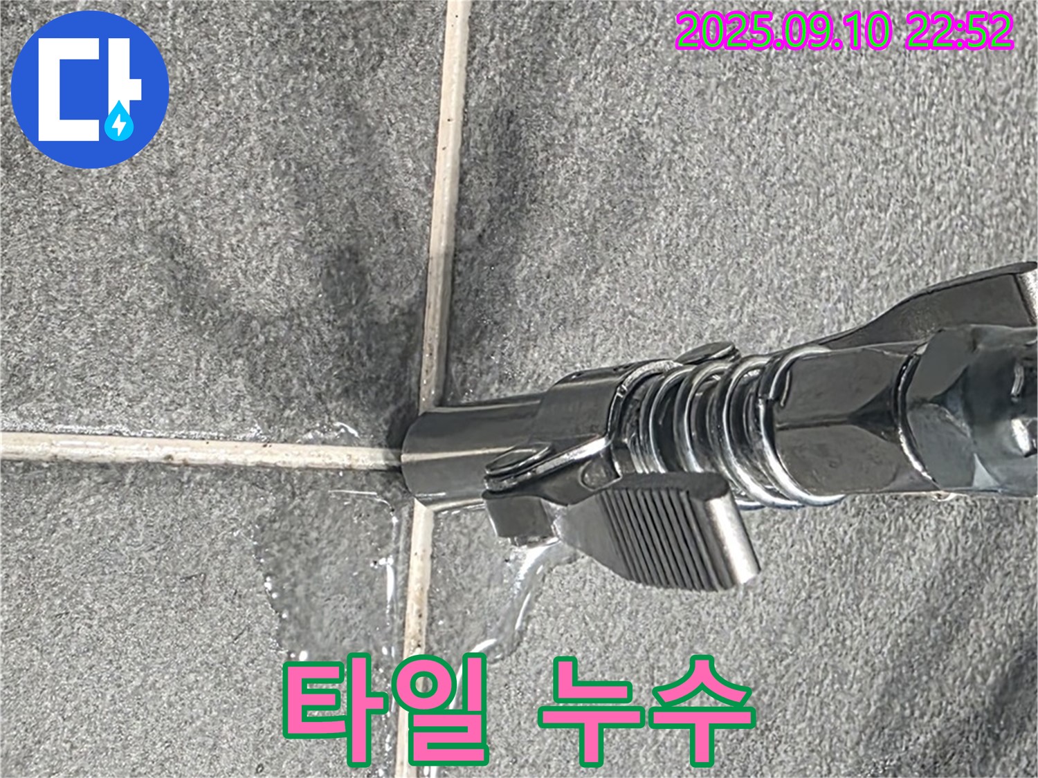 파주시 동패동 아파트 타일 틈새에서 누수가 발생한 모습입니다 - 꼼꼼한 점검으로 누수 원인을 파악하고 있습니다.