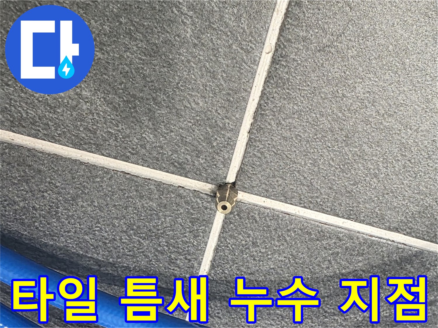 파주시 동패동 운정어반프라임 아파트 누수 - 타일 틈새의 누수 지점을 정확히 찾아냈습니다.
