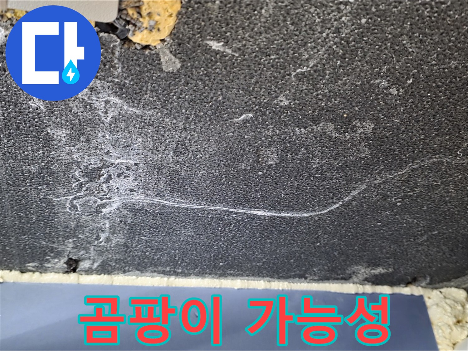 파주시 동패동 운정어반프라임 아파트 천장 누수 - 곰팡이 발생 가능성 확인