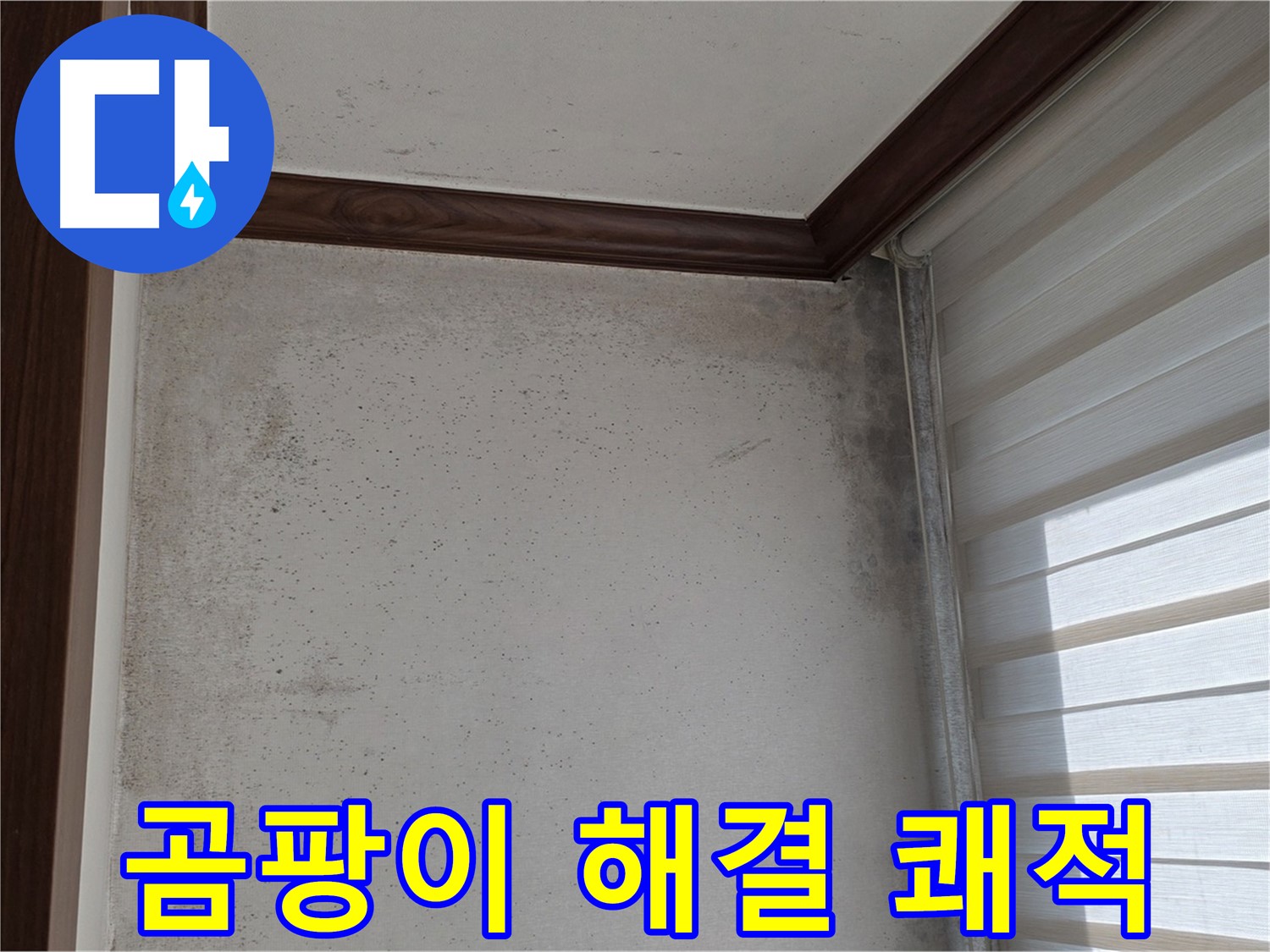 노원구 중계동 곰팡이 누수 - 완벽 해결, 쾌적한 공간으로 변신