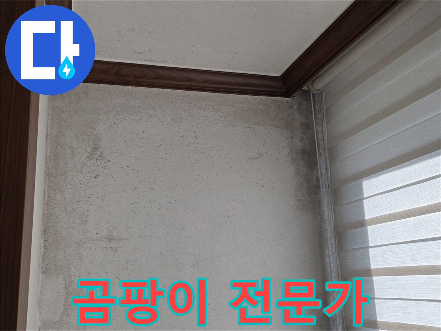 노원구 중계동 곰팡이 누수 - 전문가의 손길로 깨끗하게 해결