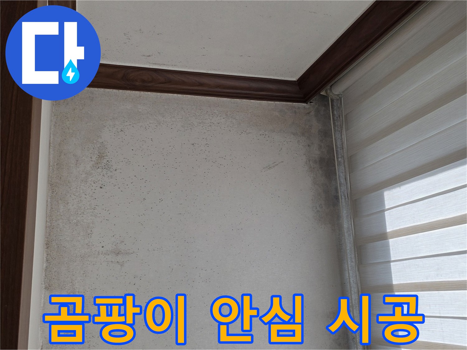 노원구 중계동 현대5차 곰팡이 누수 - 완벽 해결, 안심할 수 있는 시공