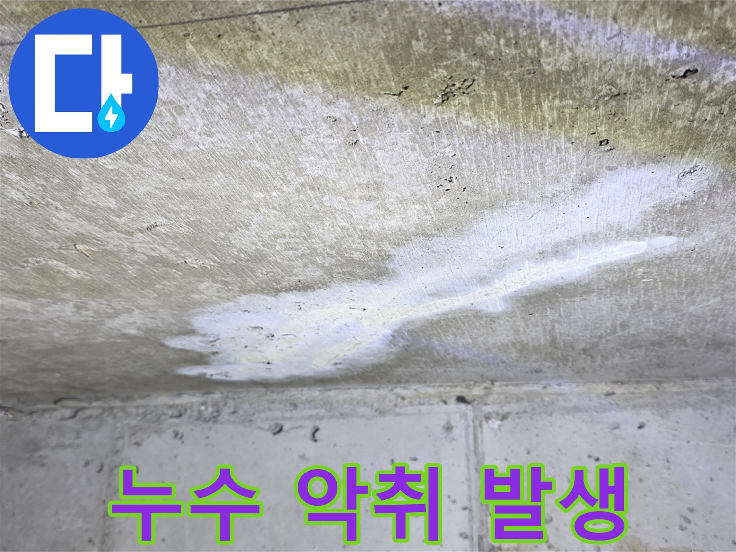 노원구 중계동 현대5차 - 누수 악취 발생 - 쾌적한 환경 저해