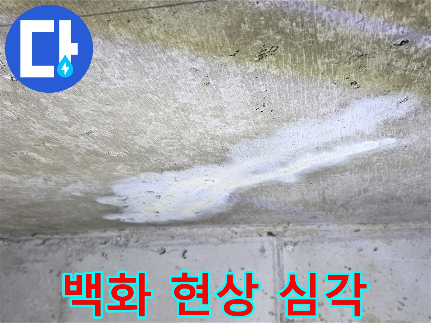 중계2동 현대5차 누수 - 백화 현상 심각 - 콘크리트 손상 우려