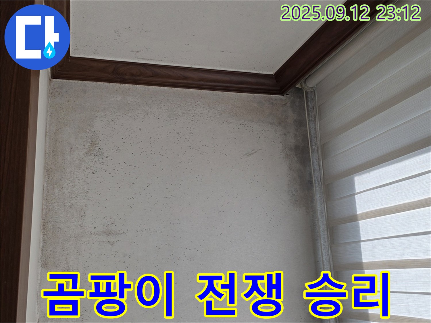 중계동 현대5차 아파트 누수 해결 - 곰팡이와의 전쟁에서 승리한 후기를 공개합니다.