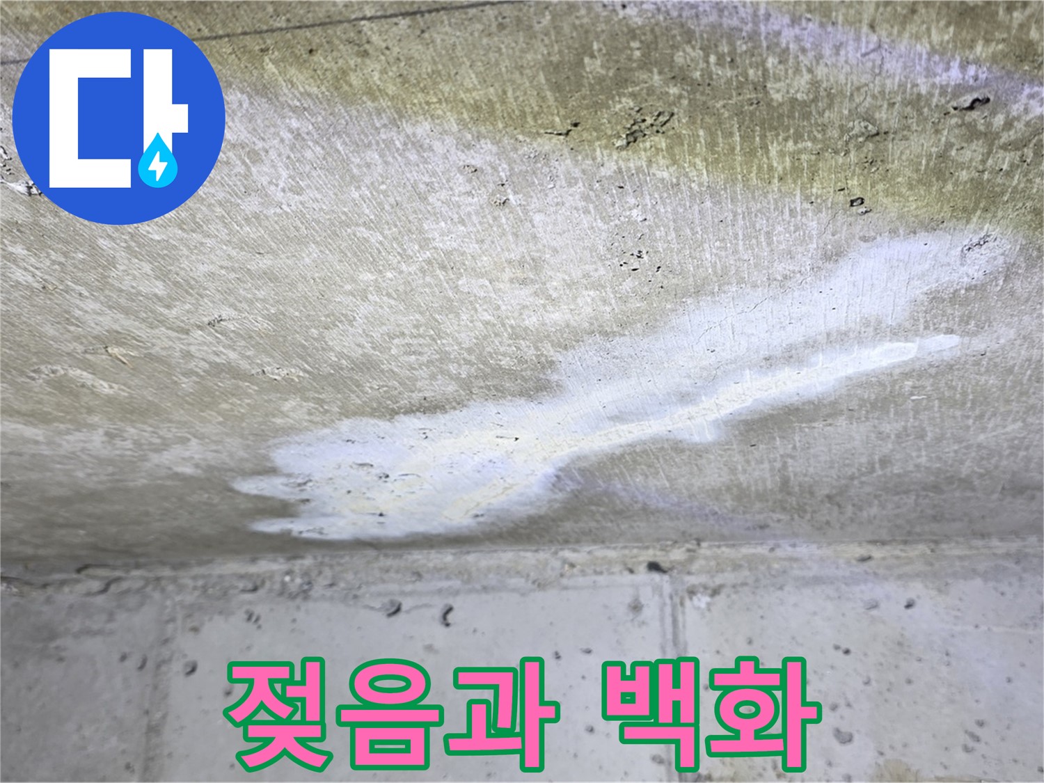현대5차 211동 - 천장 젖음과 백화 동시 발생 - 복합적인 누수