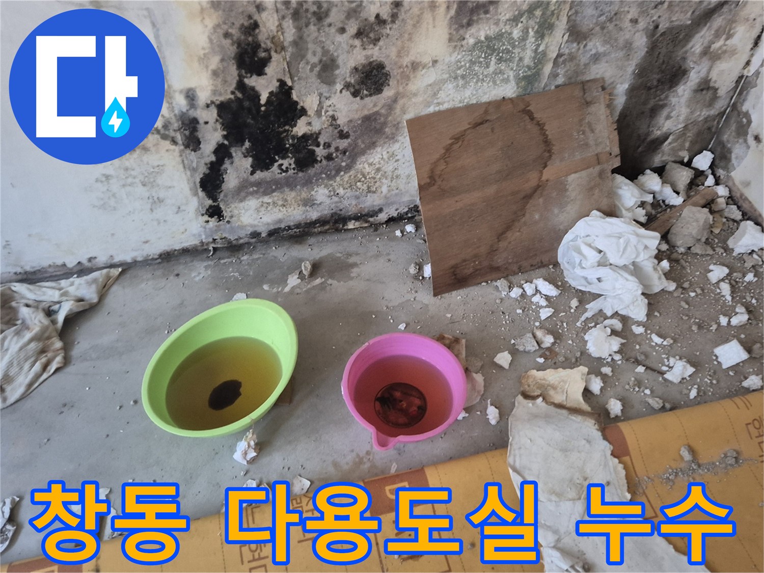 도봉구 창동 덕릉로54가길 누수 현장 - 다용도실 바닥에 물이 고여있고 벽에 곰팡이가 피어있는 모습 - 습한 환경으로 곰팡이가 번식하기 쉬운 다용도실 누수입니다.