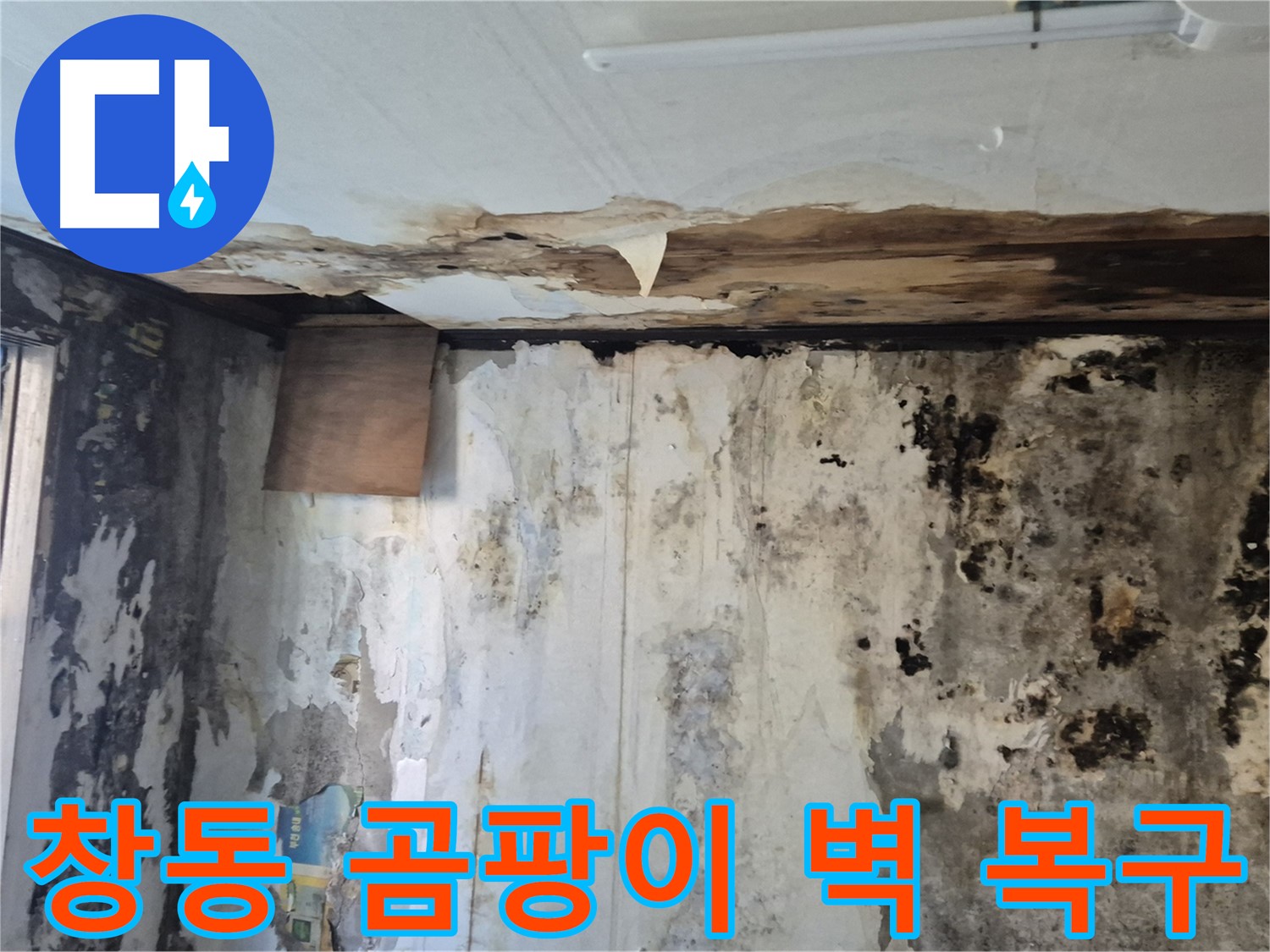도봉구 창동 주택의 곰팡이 핀 벽 복구 과정 - 누수 원인 진단부터 완벽한 시공까지 꼼꼼하게 담았습니다.