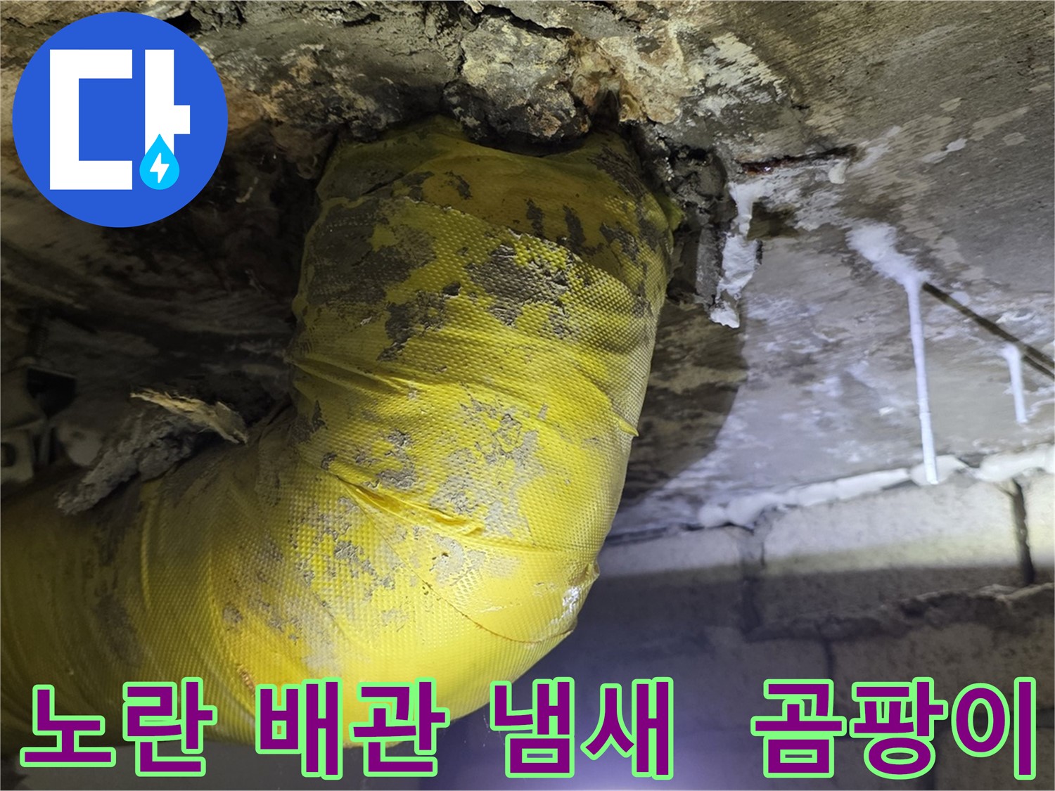 노란 배관 썩는 냄새 진동 - 은평구 누수, 건강 위협, 곰팡이 파티, 긴급 점검