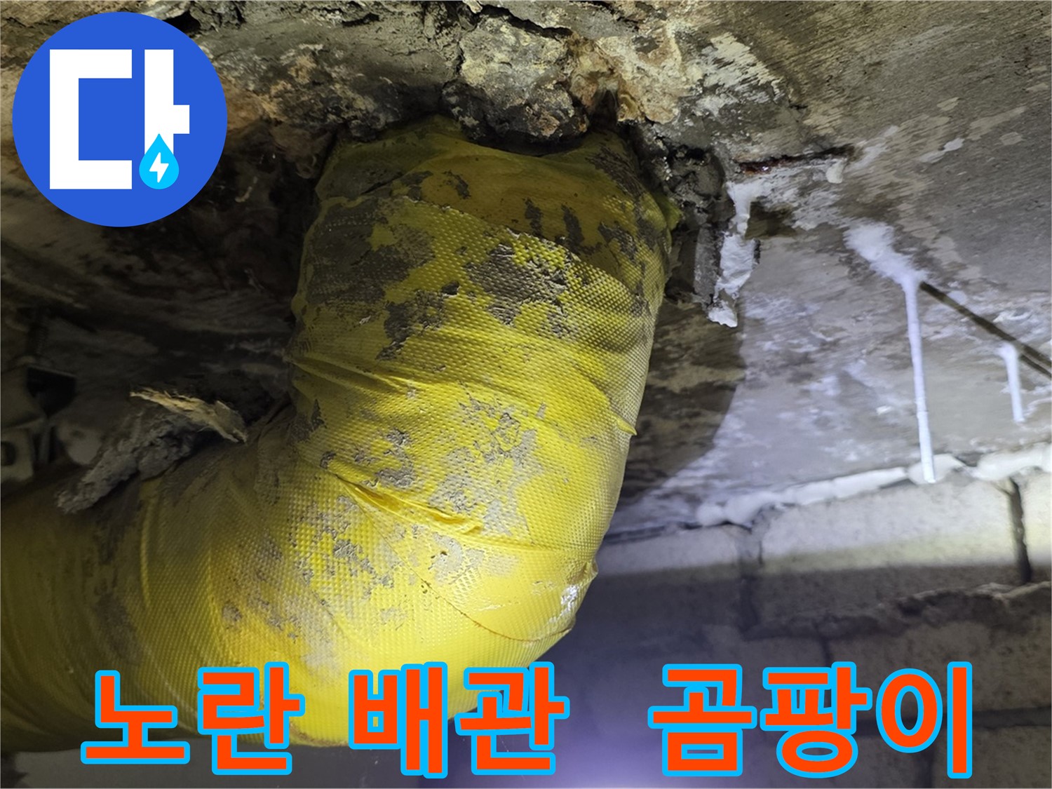 노란 배관의 최후, 곰팡이와 악취 - 서울 은평구 신사동 새절역 인근 누수 긴급 해결