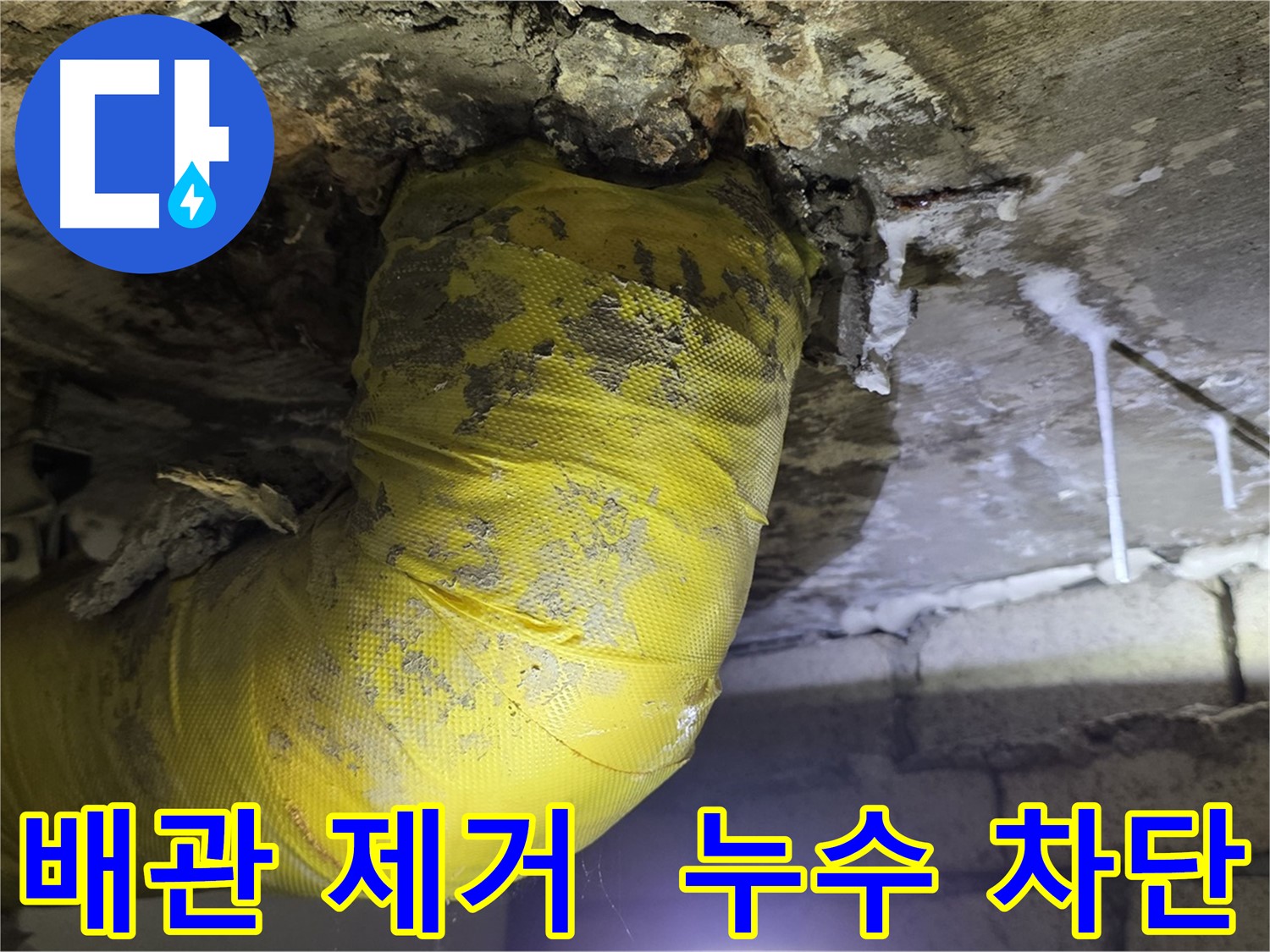 누수 완벽 차단 - 서울 은평구 신사동 누수, 낡은 노란 배관 OUT, 곰팡이 완전 박멸
