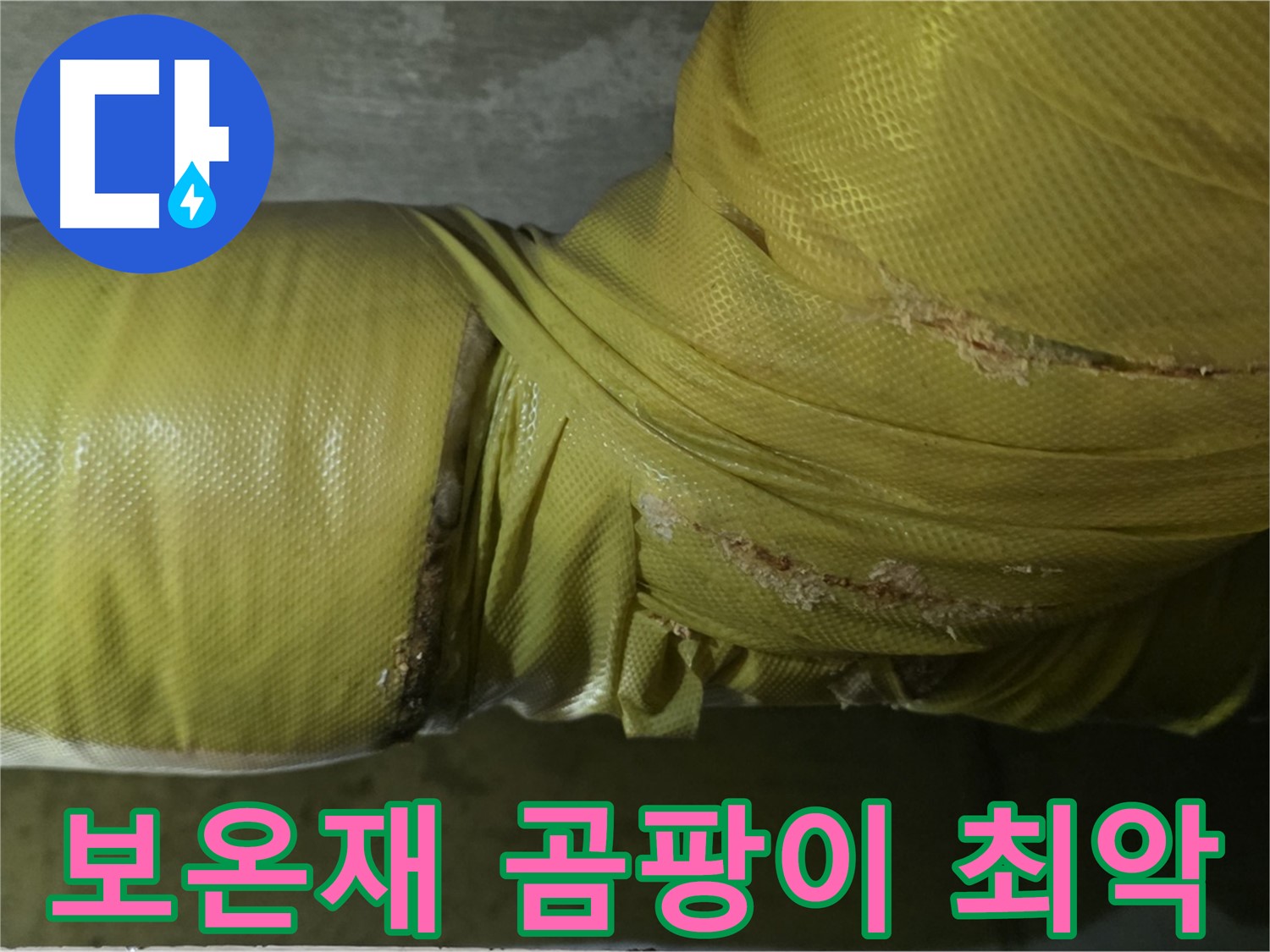 보온재 속 곰팡이 - 실내 공기 질 최악, 건강 위협, 전문적인 케어가 필요합니다.
