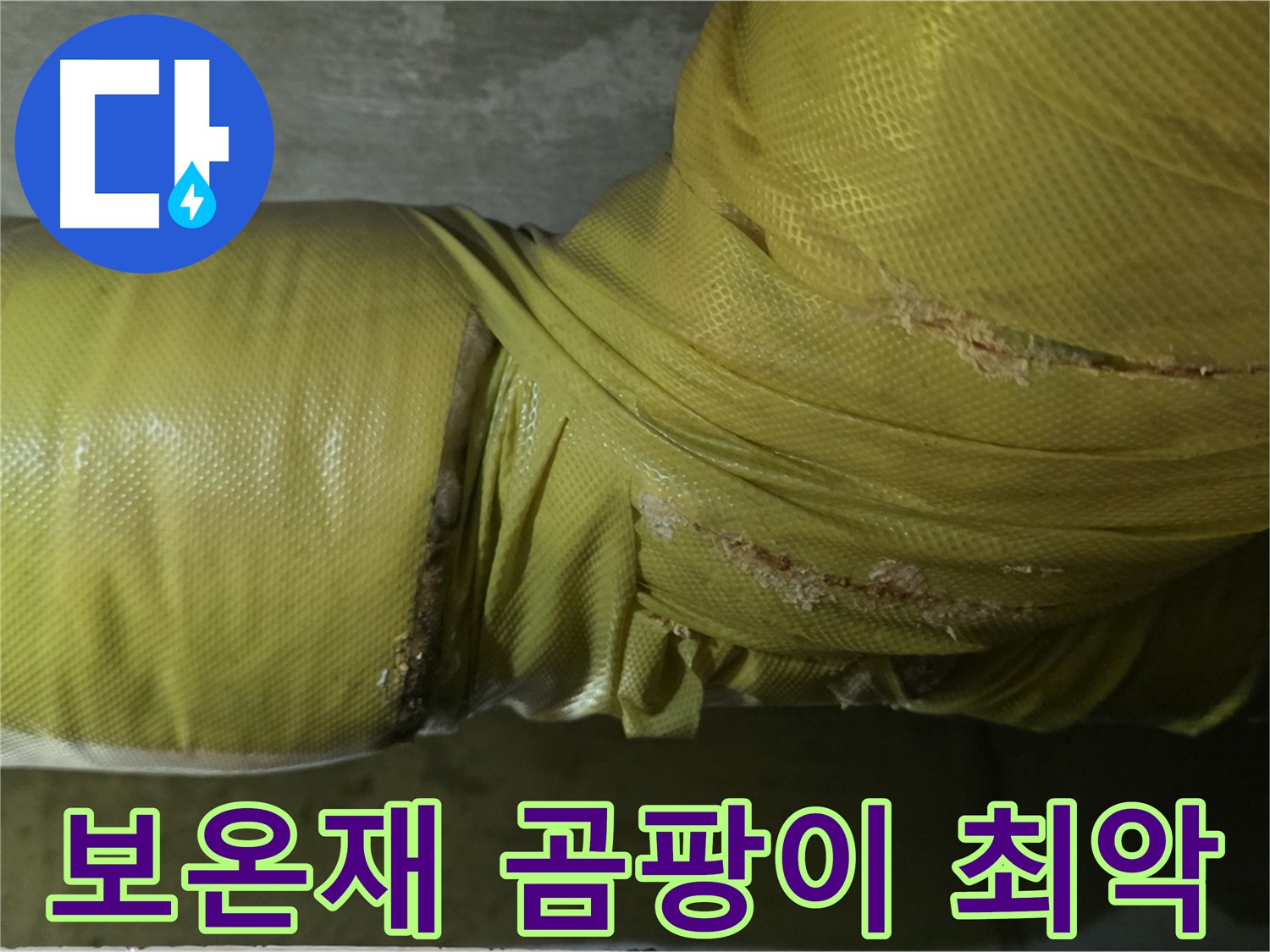 보온재 속 곰팡이 - 실내 공기 최악, 건강 위협 심각, 전문적인 제거 및 관리가 시급합니다.