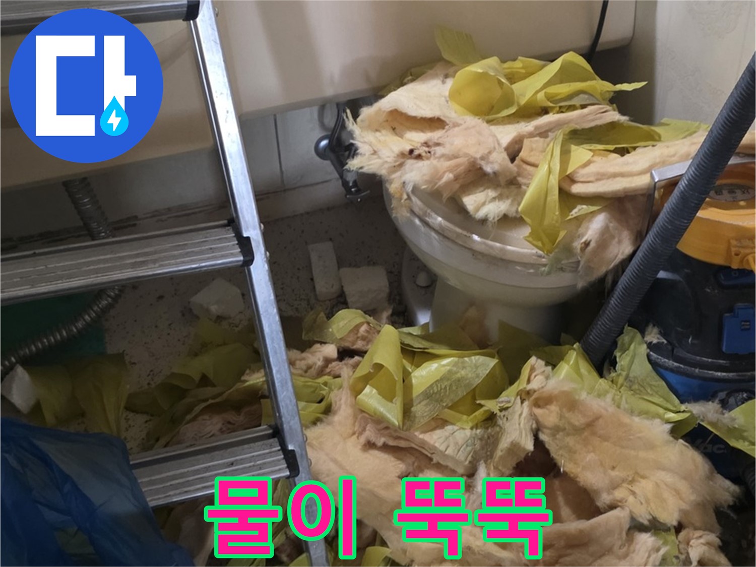 새절 누수 현장 - 물이 뚝뚝 떨어지는 배관, 곰팡이 번식 위험 - 즉시 조치