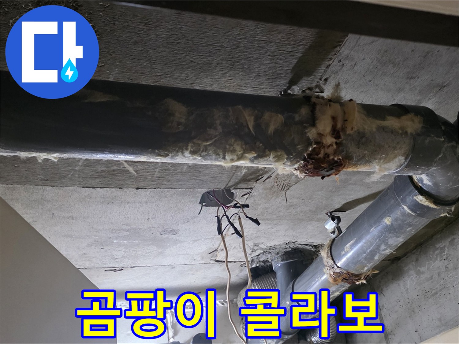 새절역 현대아파트 - 곰팡이 핀 보온재, 건강까지 위협하는 낡은 배관의 콜라보