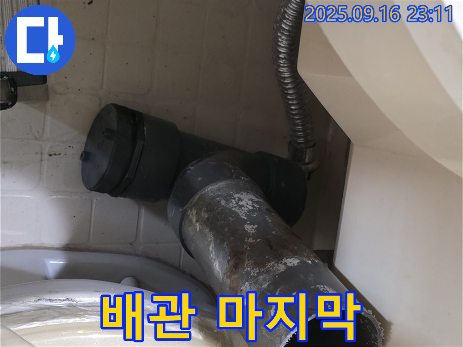 새절역 현대아파트 - 낡은 변기 배관의 마지막 여정 - 은평구 신사동 누수