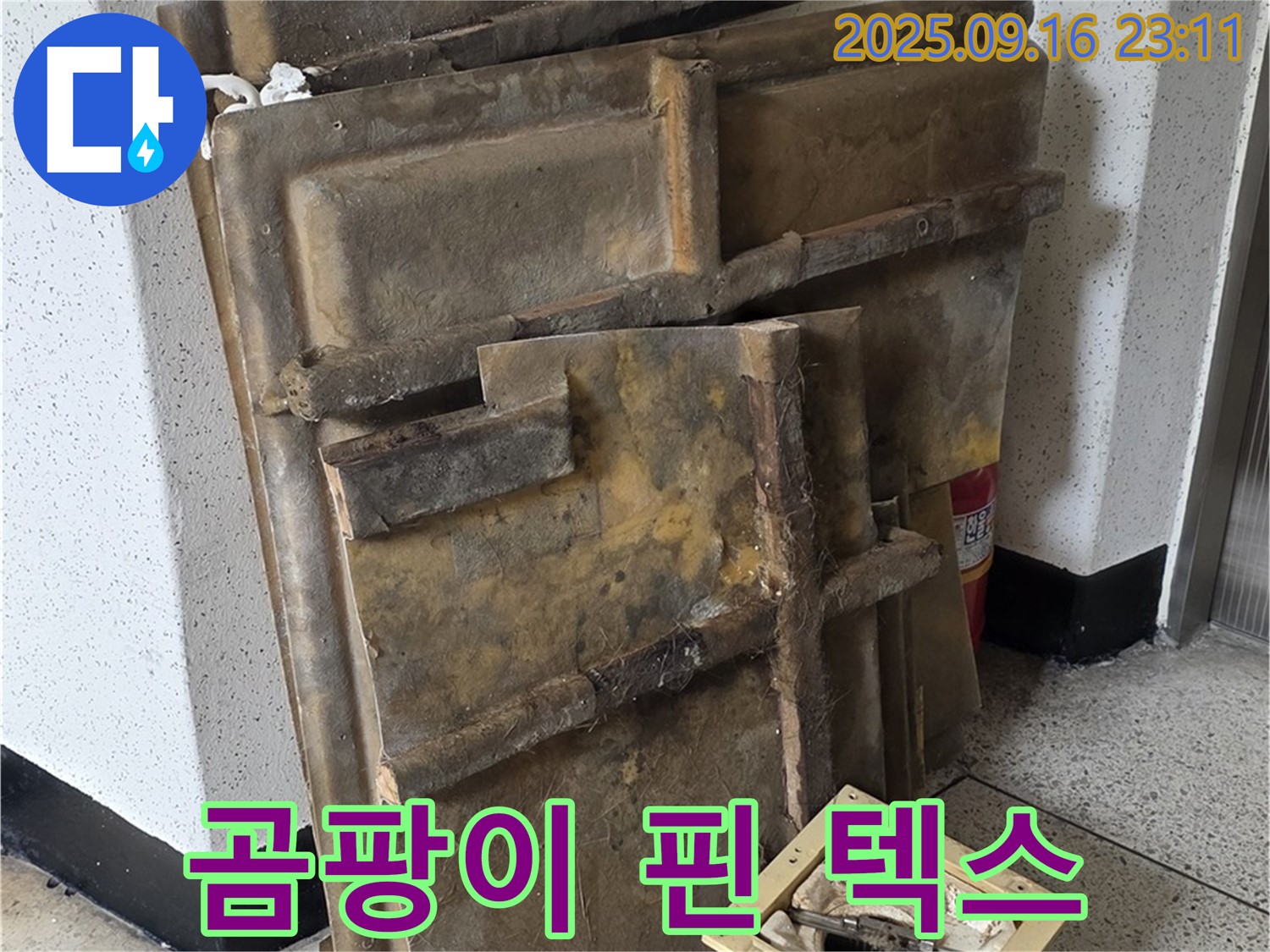 새절역 현대아파트 누수 - 곰팡이가 심하게 핀 천장 텍스