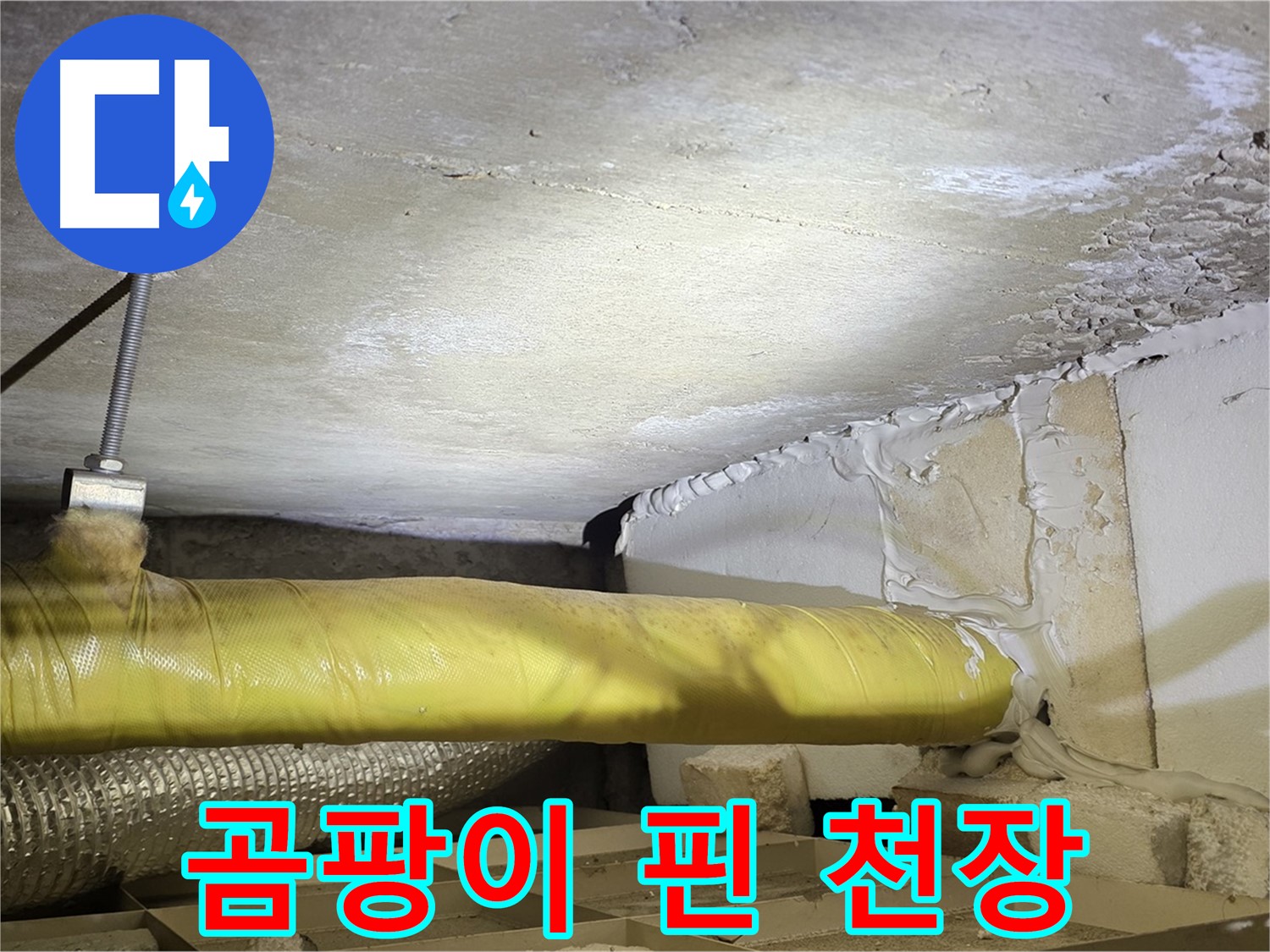 새절역 현대아파트 누수 - 곰팡이로 오염된 천장 - 누수 피해의 심각성을 보여줍니다.