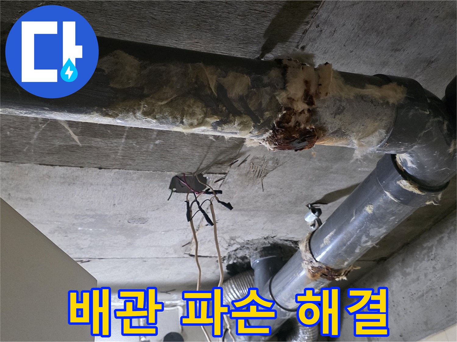 새절역 현대아파트 누수 - 오수 배관 파손 긴급 누수 해결 및 피해 방지