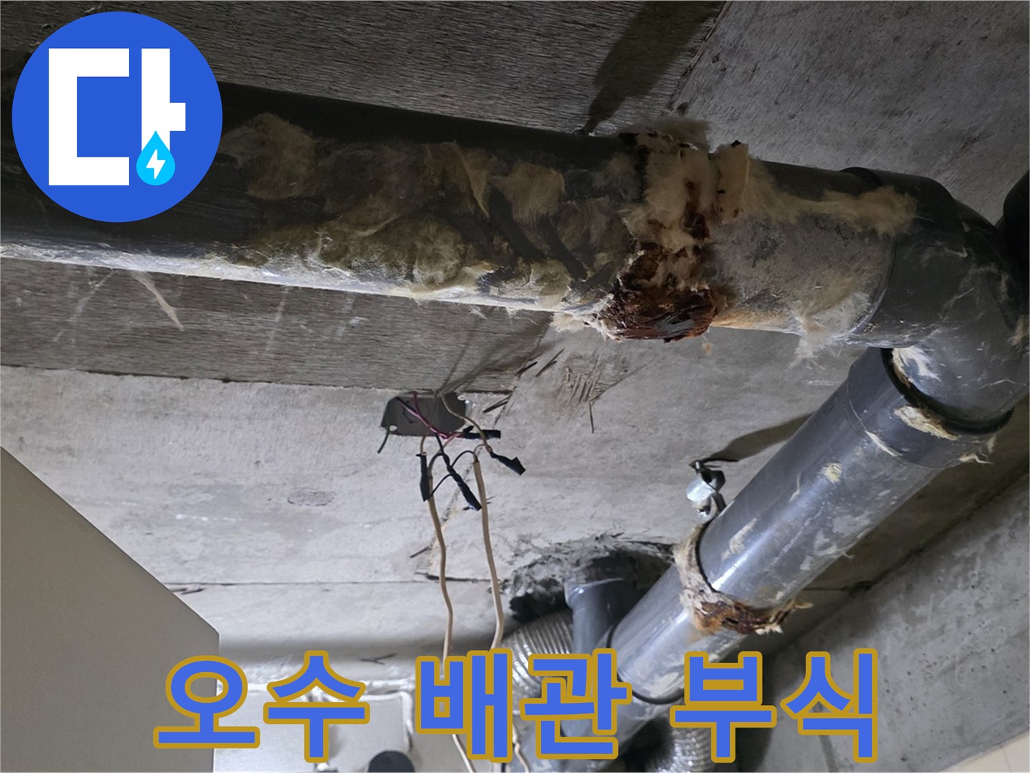 은평구 신사동 누수 - 오수 배관 부식 문제 긴급 해결 작업