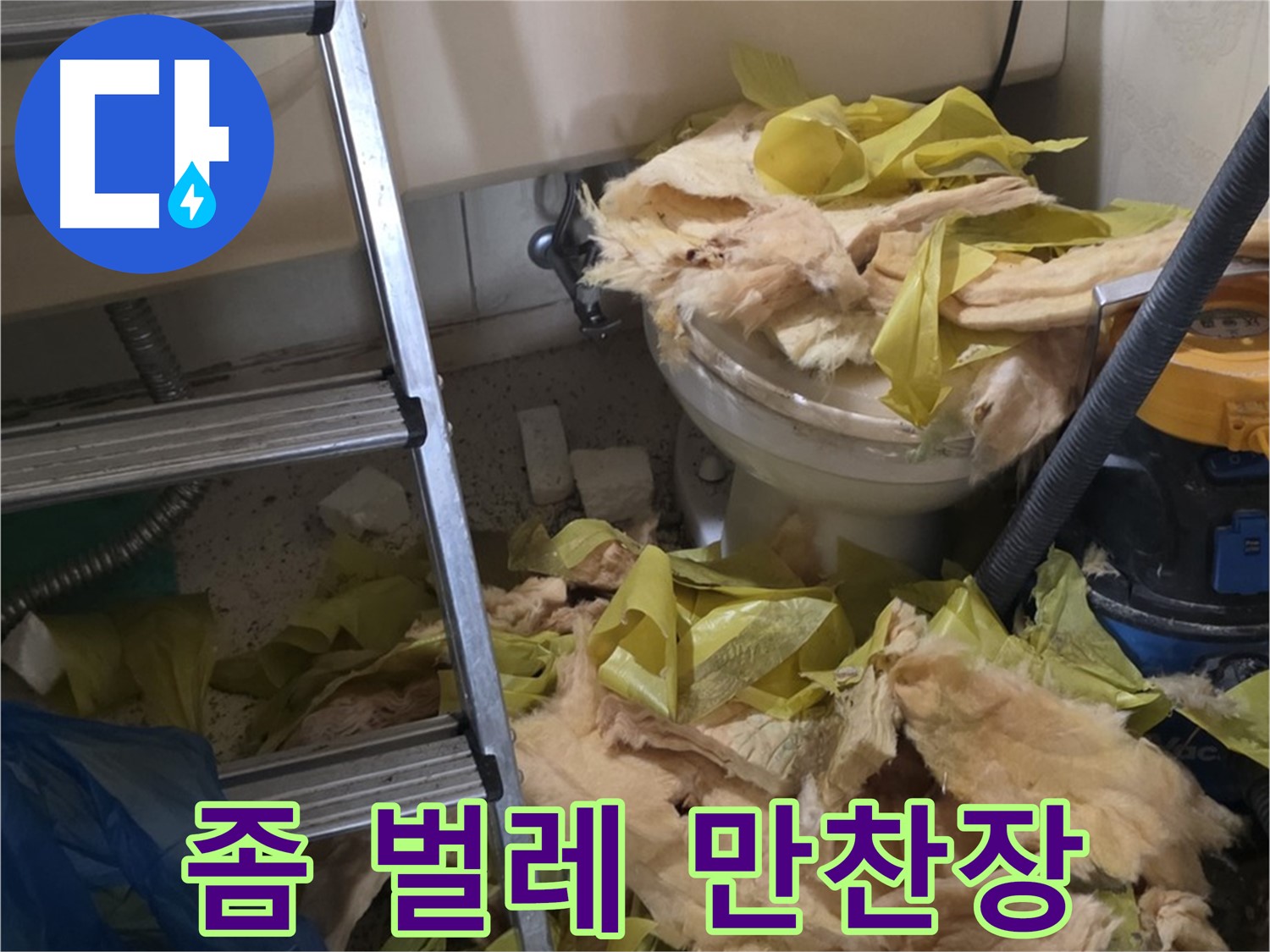 신사동 누수 현장 - 낡은 보온재 속 좀 벌레 서식 - 비위생적