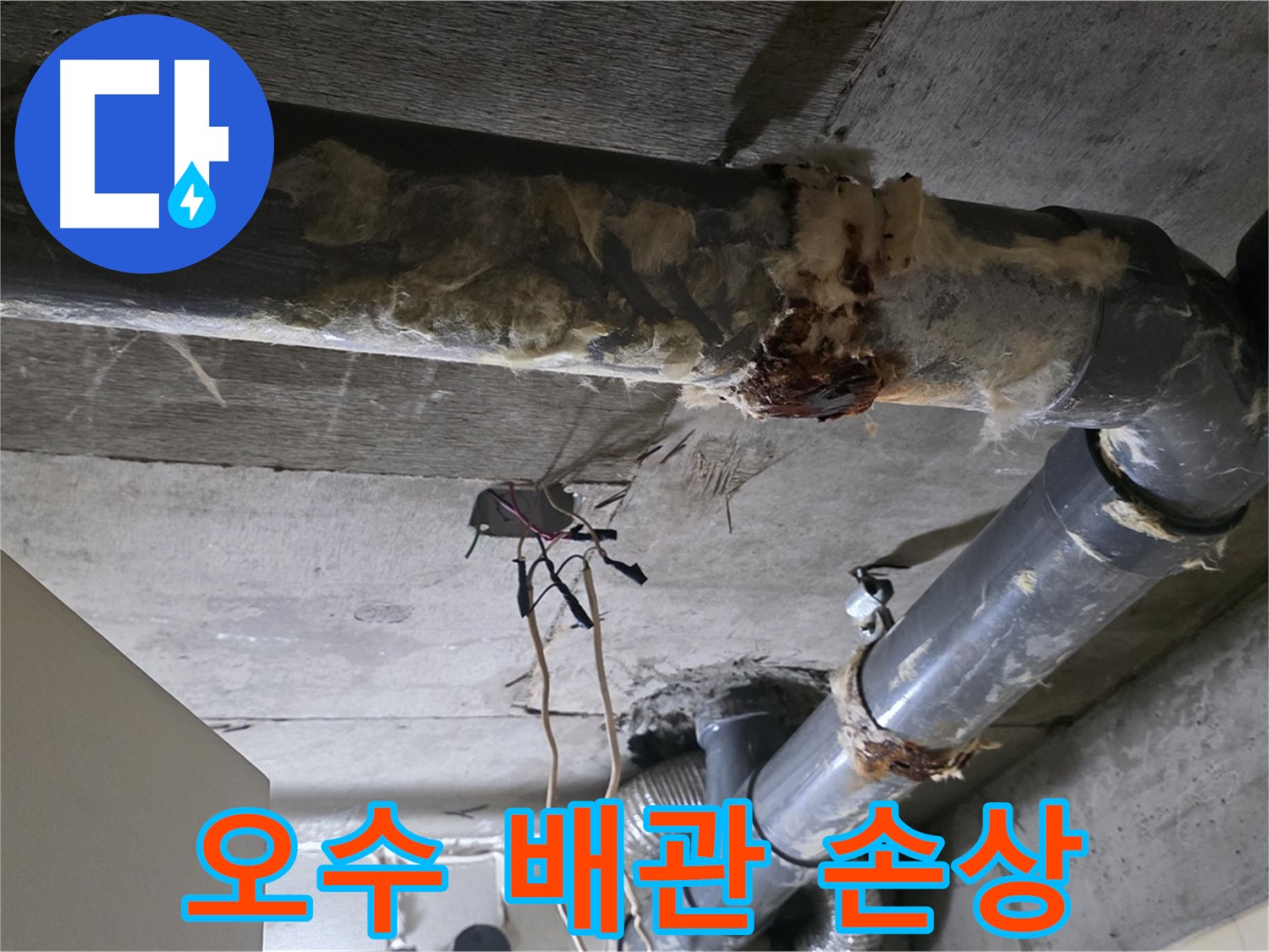 신사동 새절역 현대아파트 누수 - 오수 배관 손상으로 인한 누수