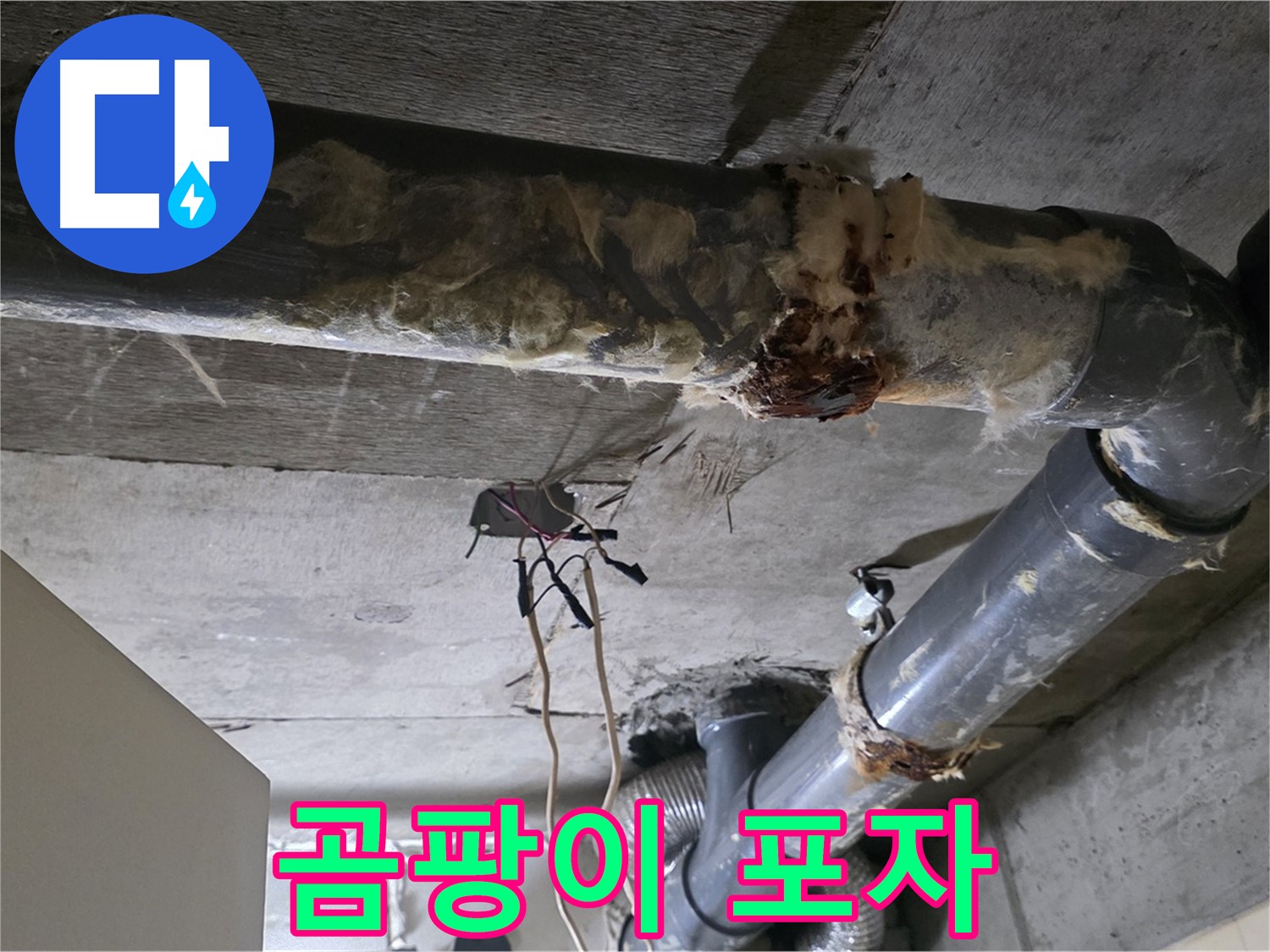 신사동 새절역현대아파트 누수 - 곰팡이 포자가 퍼지는 낡은 오수 배관 보온재 - 곰팡이 확산 방지가 중요합니다