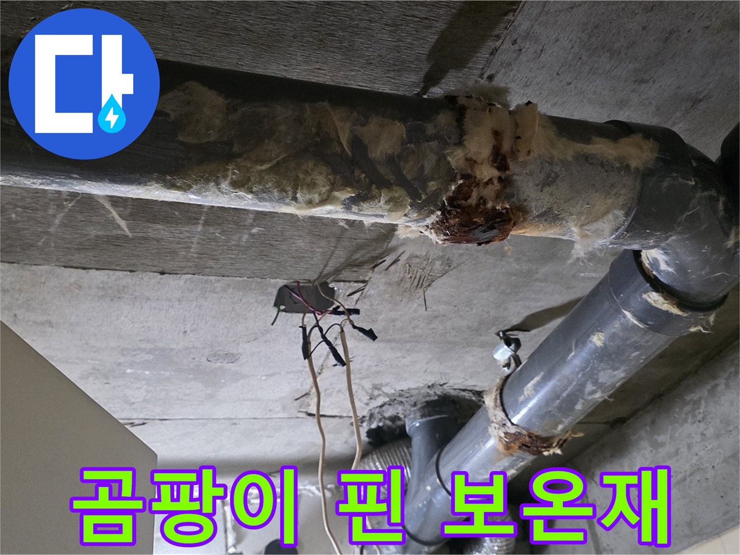 신사동 새절역현대아파트 누수 - 곰팡이 핀 낡은 오수 배관 보온재