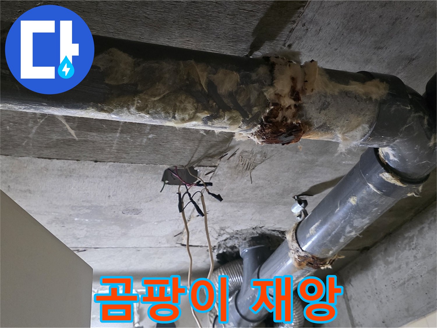 신사동 새절역현대아파트 누수 - 곰팡이와 함께 오수 배관 파손 긴급 수리