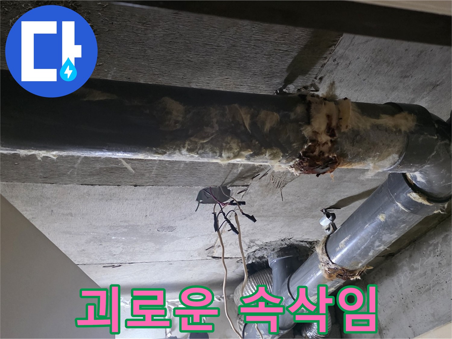 신사동/새절역 - 낡은 보온재 속에 숨겨진 배관의 괴로운 속삭임, 이제 들어주세요
