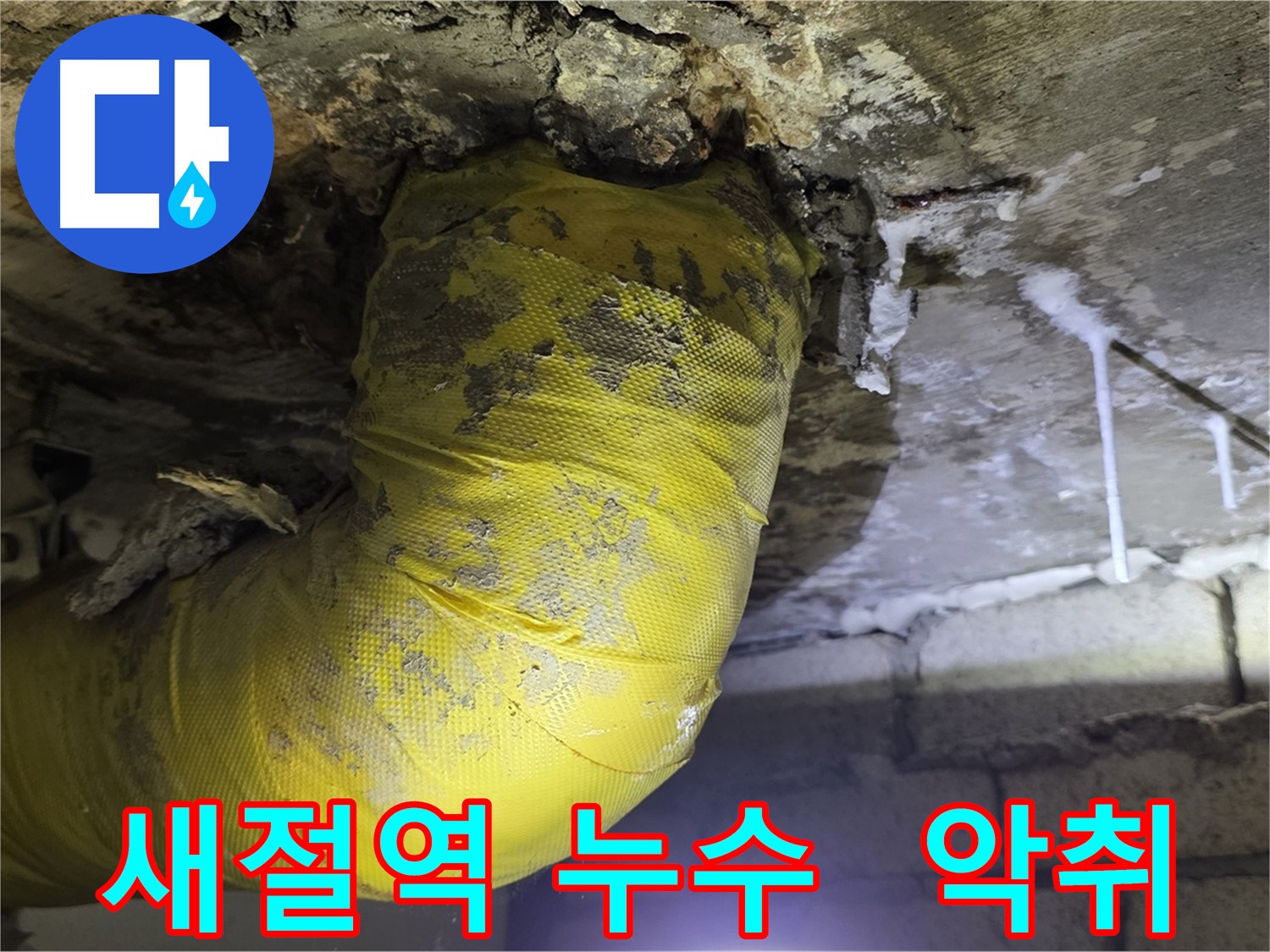 천장 누수와 악취 - 새절역 현대아파트 긴급 해결
