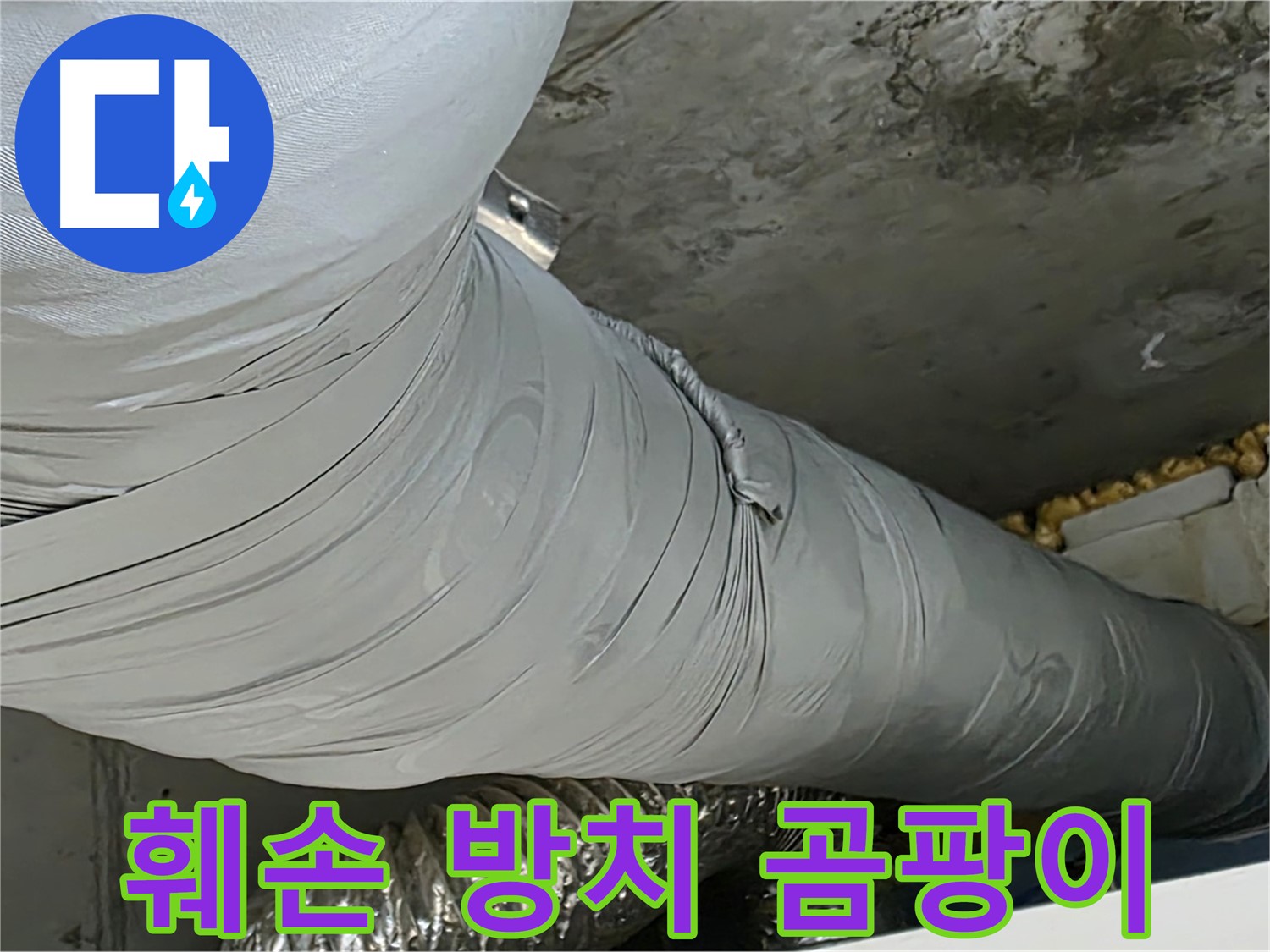 광명 아파트 누수 - 훼손된 보온재 방치, 곰팡이 서식 환경 제공.