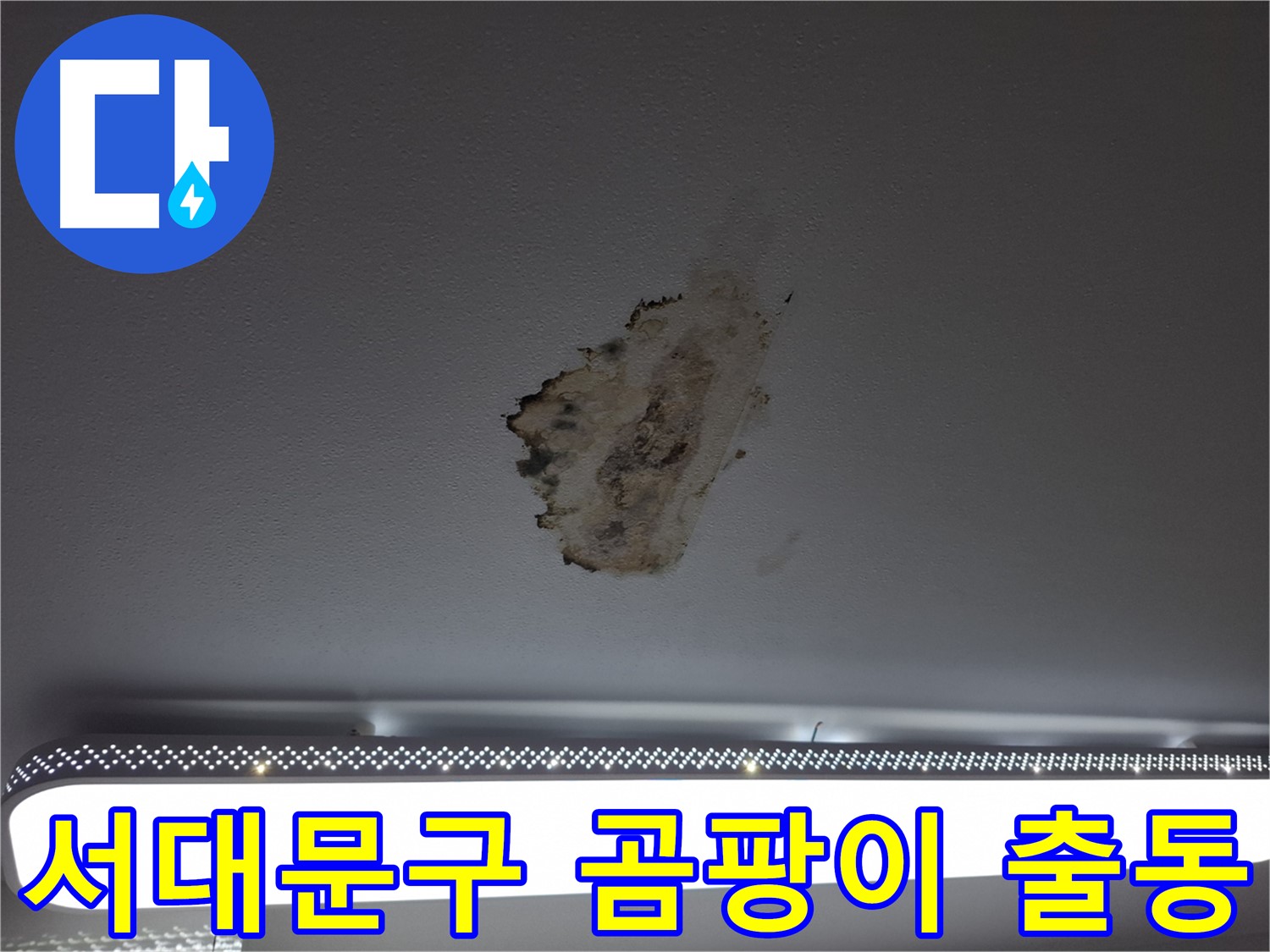 곰팡이 핀 천장 - 24시간 긴급 출동합니다