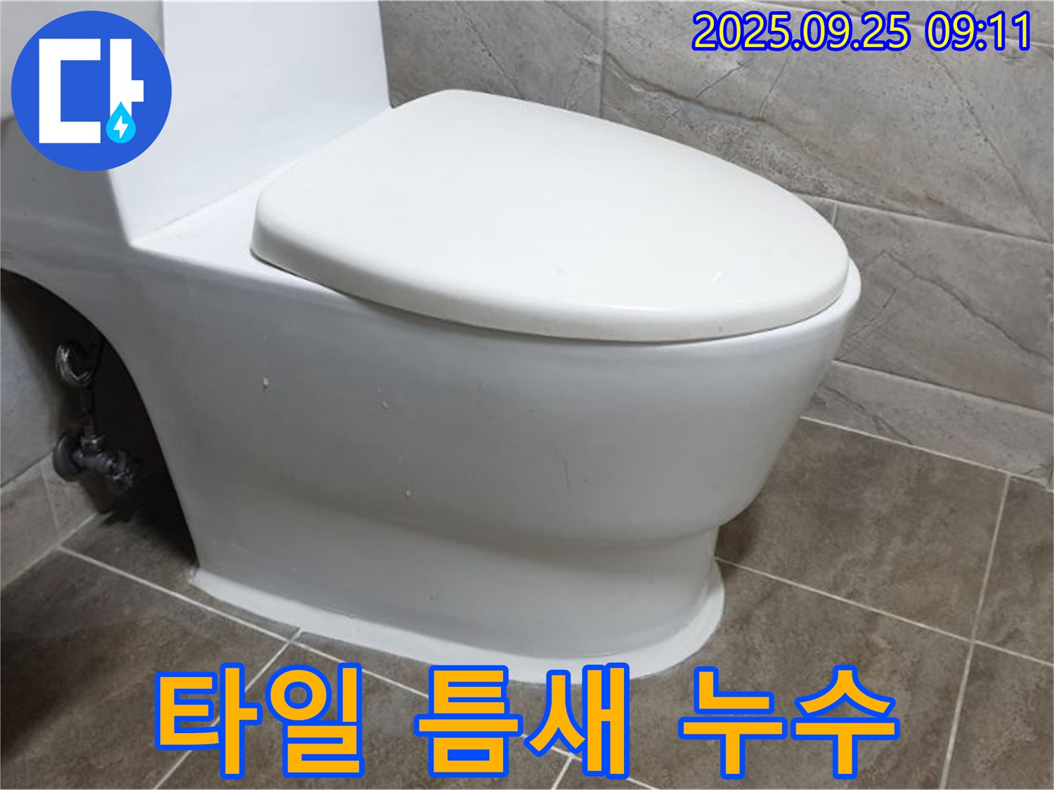 양주시 백석읍 기산리 변기 옆 타일 틈새 누수 - 꼼꼼한 점검으로 숨겨진 누수 원인을 찾아 해결합니다.
