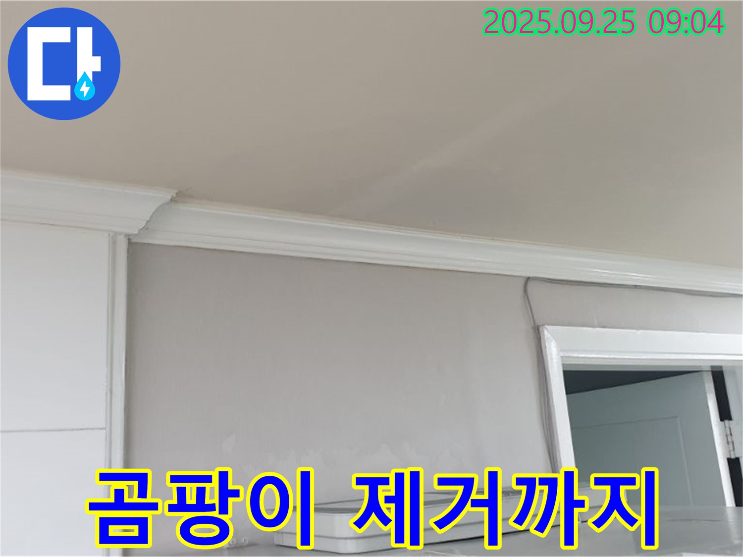 백석읍 연곡리 - 곰팡이 핀 벽, 누수 원인부터 곰팡이 제거까지 원스톱 해결.