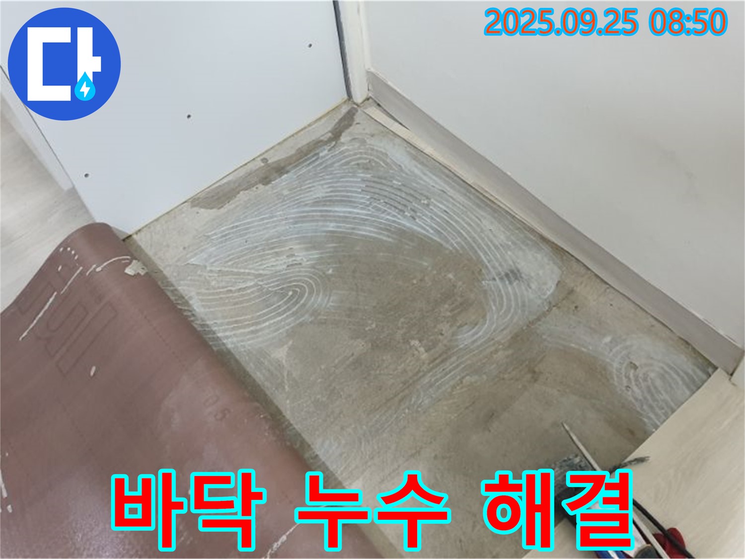 양주 백석읍 연곡리 바닥 누수 완벽 해결 - 누수 지점을 찾아 보수 작업을 완료했습니다.