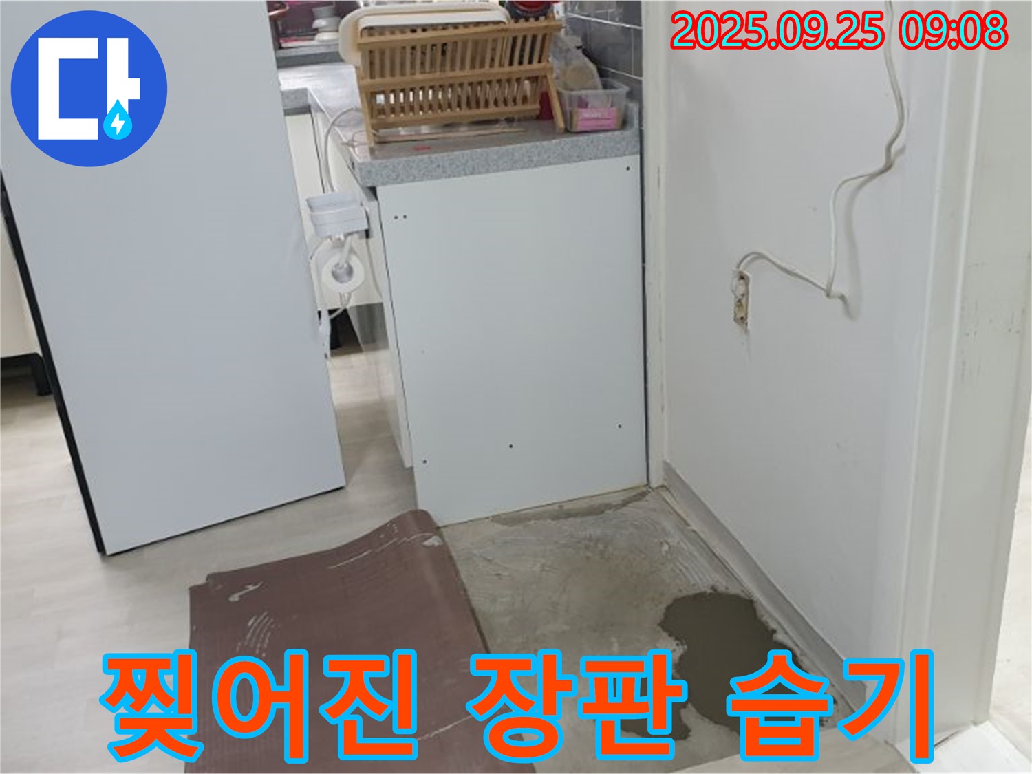 양주 연곡리 누수 현장 - 찢어진 장판 속에서 습기가 발견되었습니다. 누수가 의심됩니다.