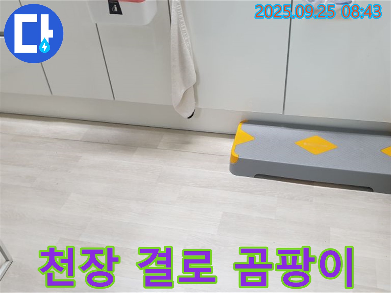 양주시 백석읍 연곡리 베란다 천장 결로 - 결로 현상으로 인한 곰팡이 문제를 제거하고 쾌적한 베란다를 만드세요.