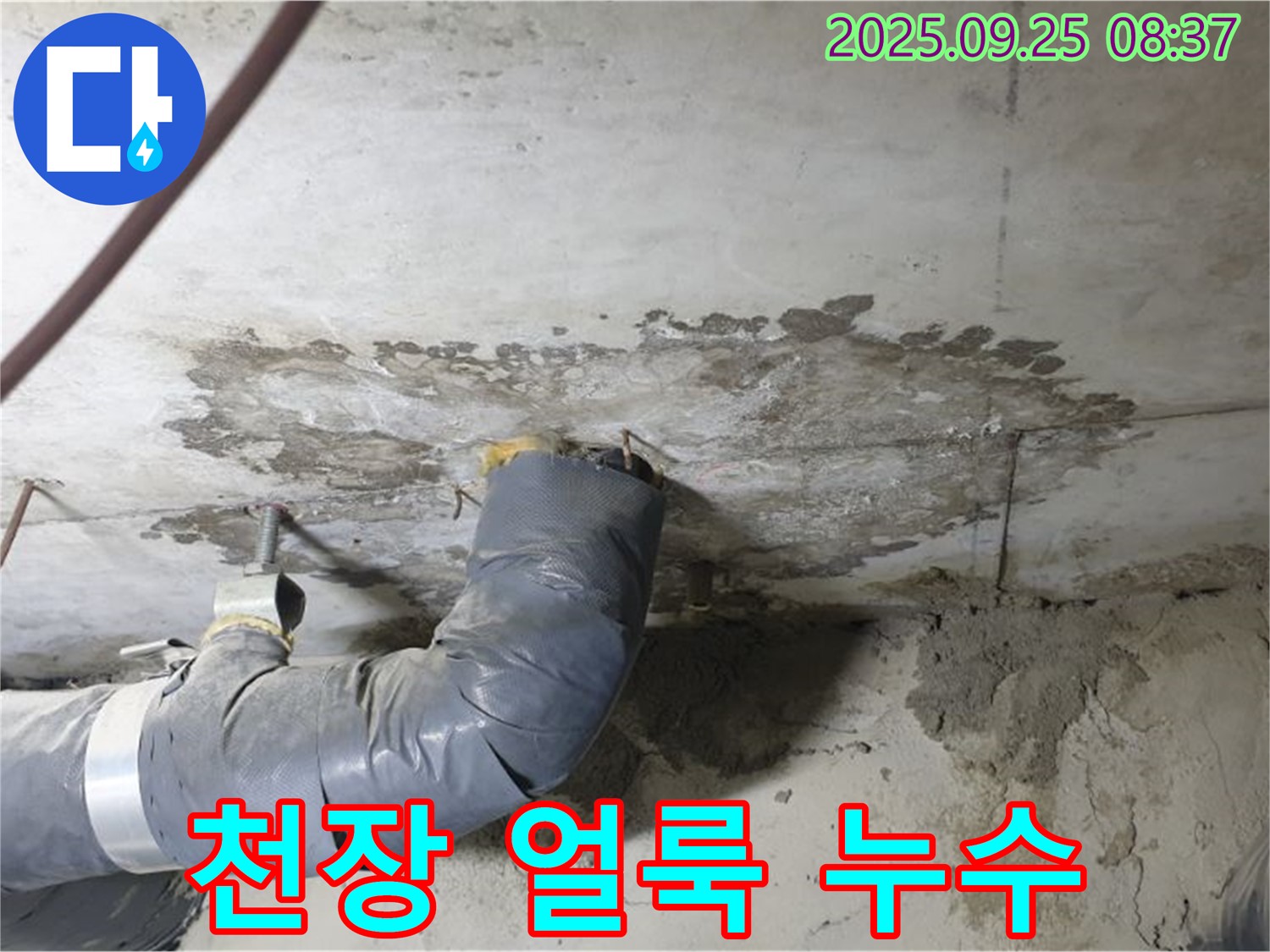 양주시 백석읍 연곡리 - 콘크리트 천장 얼룩, 누수 가능성을 확인하세요