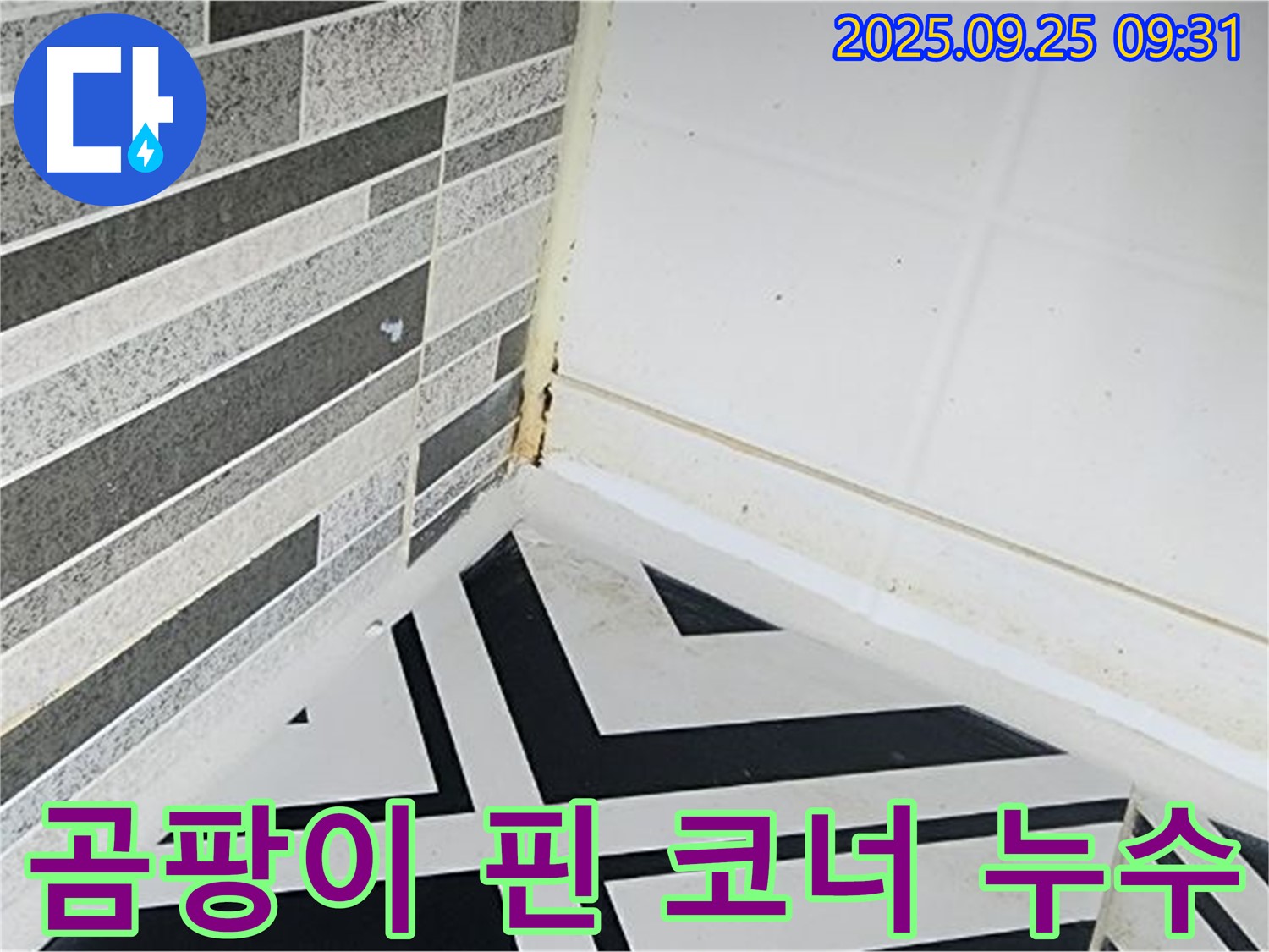 양주시 백석읍 오산리 - 곰팡이 핀 욕실 코너 누수 - 누수로 인한 곰팡이 발생 상태를 보여주는 이미지