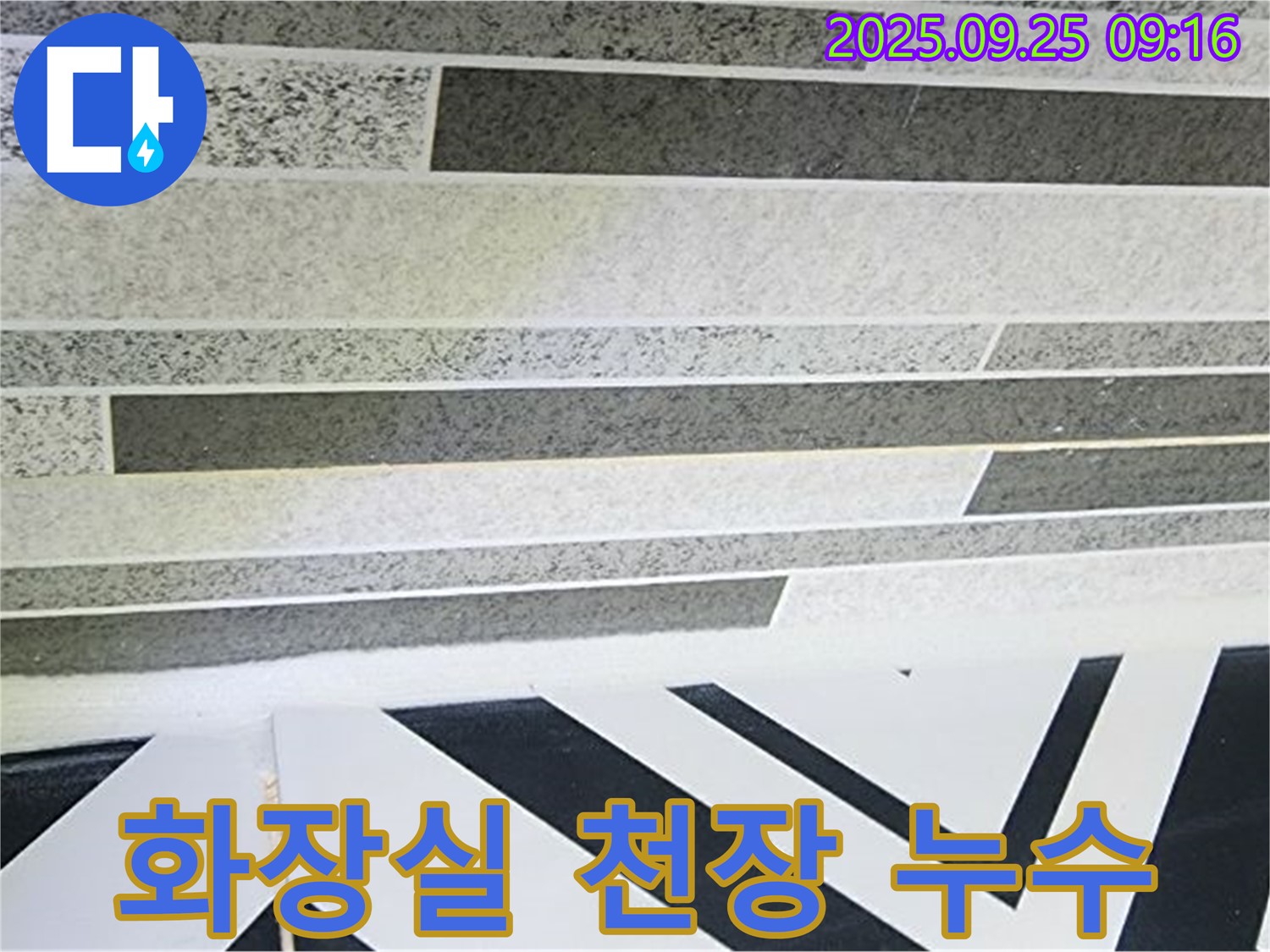 양주시 백석읍에서 발생한 화장실 천장 누수 - 누수탐지 전문가가 정확한 원인을 찾아 해결합니다.