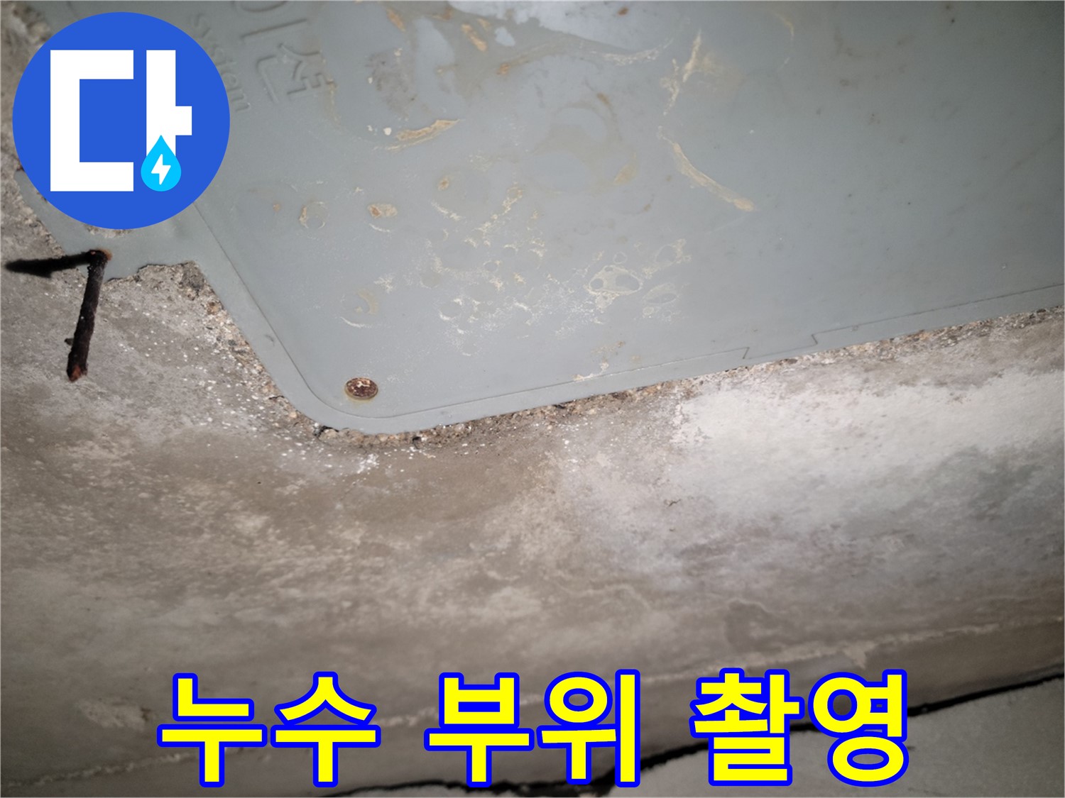 동두천 누수 - 누수 발생 부위 집중 촬영 - 상세 기록