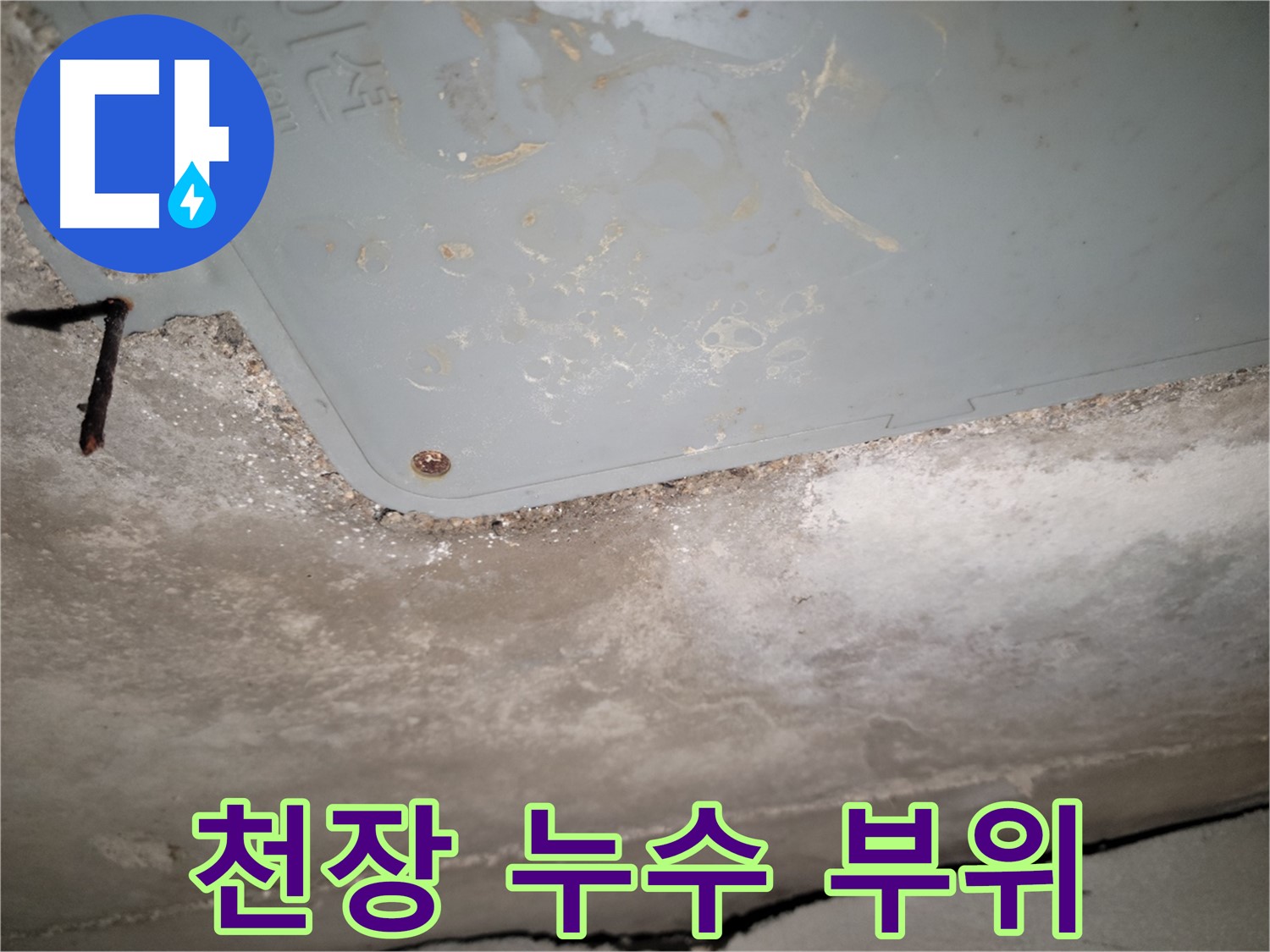 동두천 누수 - 천장 누수 부위 상세 촬영 - 정확한 진단