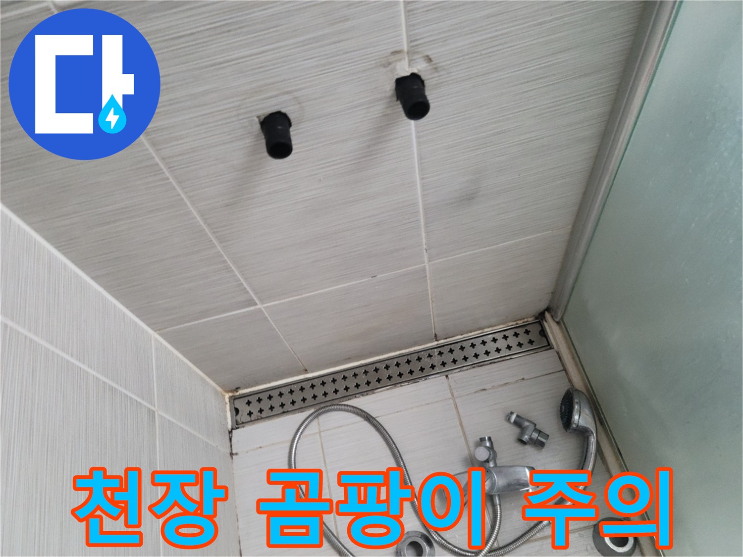 동두천 신창비바 욕실 - 천장 곰팡이 주의! 누수 해결이 먼저