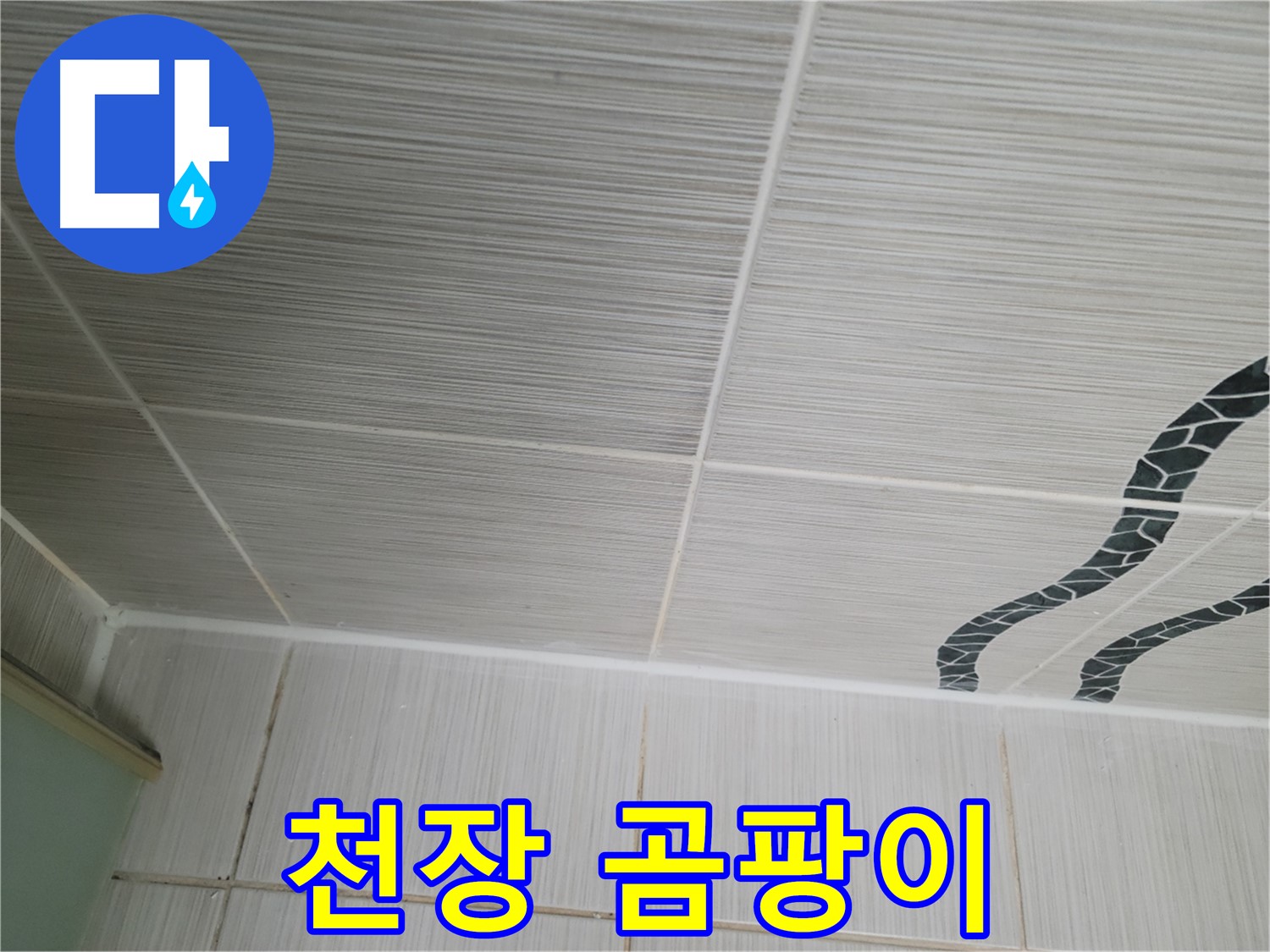 동두천 누수 - 화장실 천장 타일 틈새에 검은 곰팡이가 핀 것을 확인했습니다.