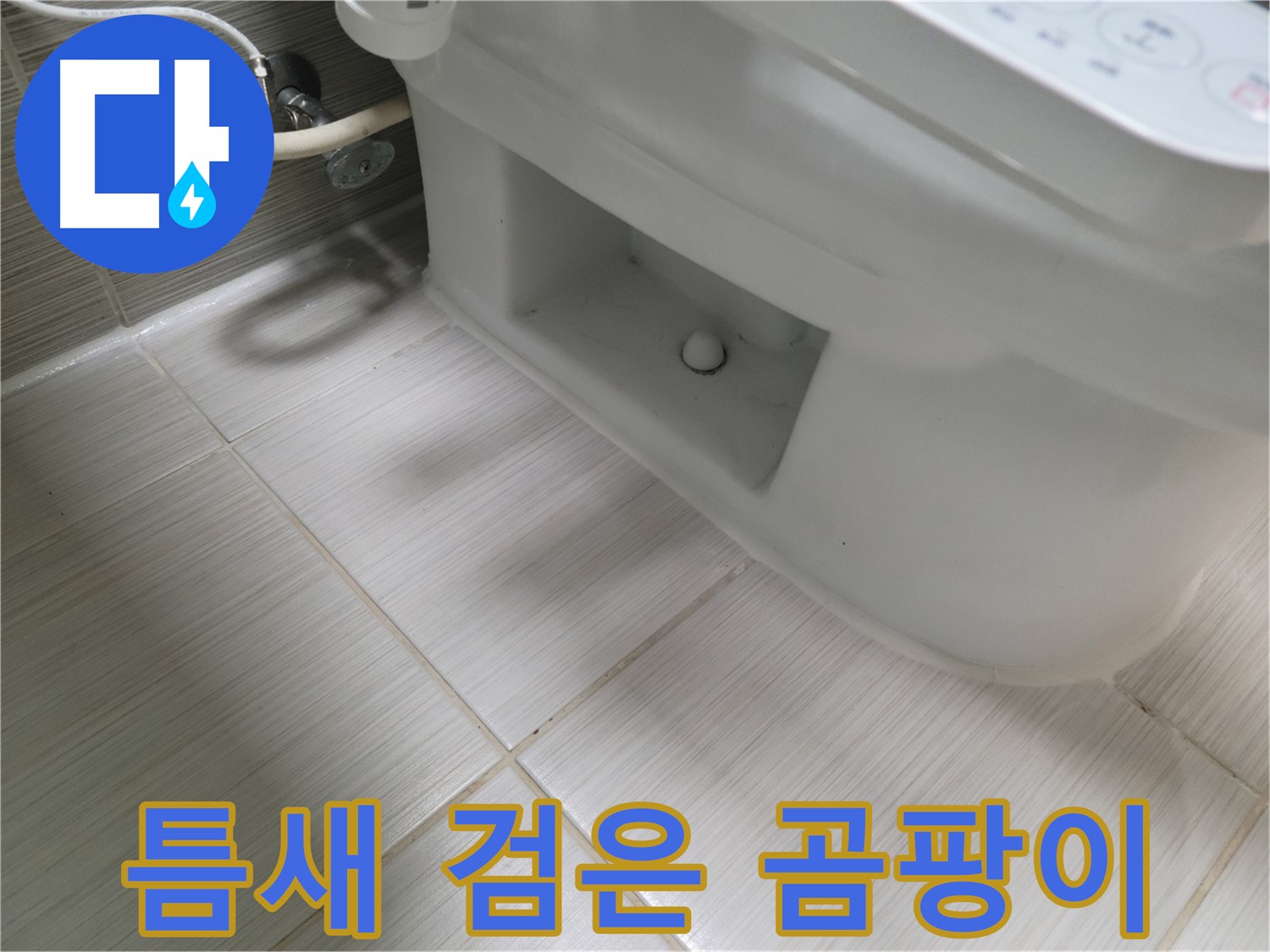 동두천 변기 누수 - 틈새 검은 곰팡이 - 건강 주의