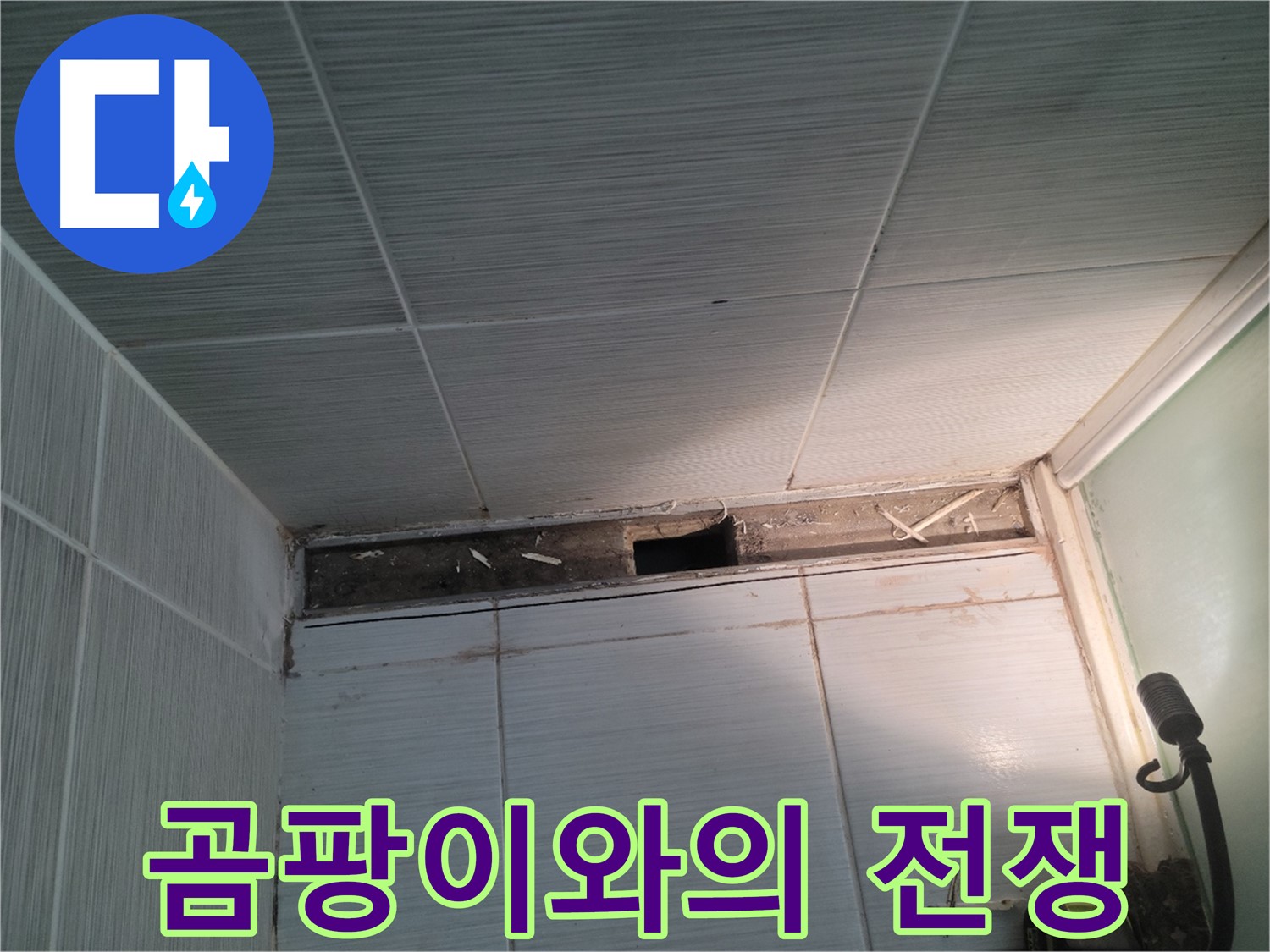 동두천 신창비바패밀리 욕실 천장 누수 - 곰팡이와의 전쟁 선포