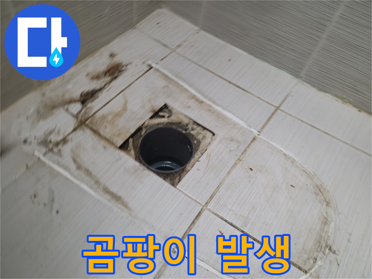 배수구 주변 - 곰팡이 발생, 누수 심각