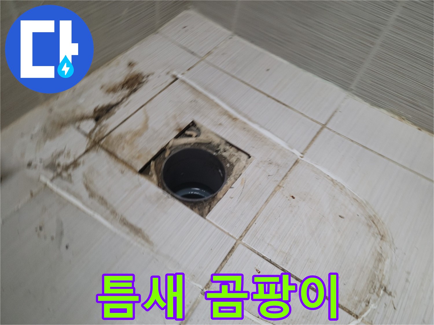 배수구 주변 - 타일 틈새 곰팡이 집중 공략