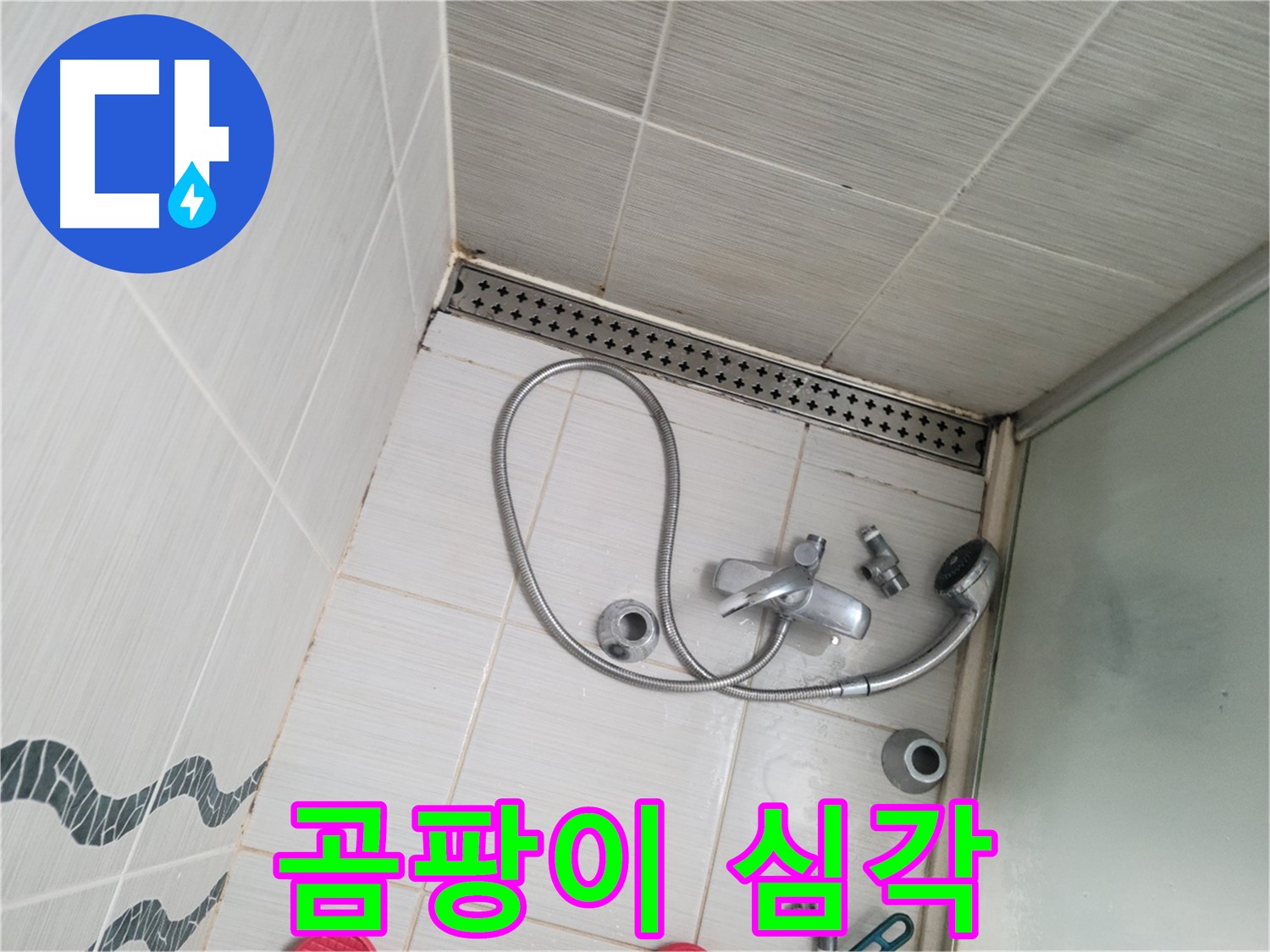 샤워기 수전 연결 부위 주변 곰팡이 심각 - 건강 위협